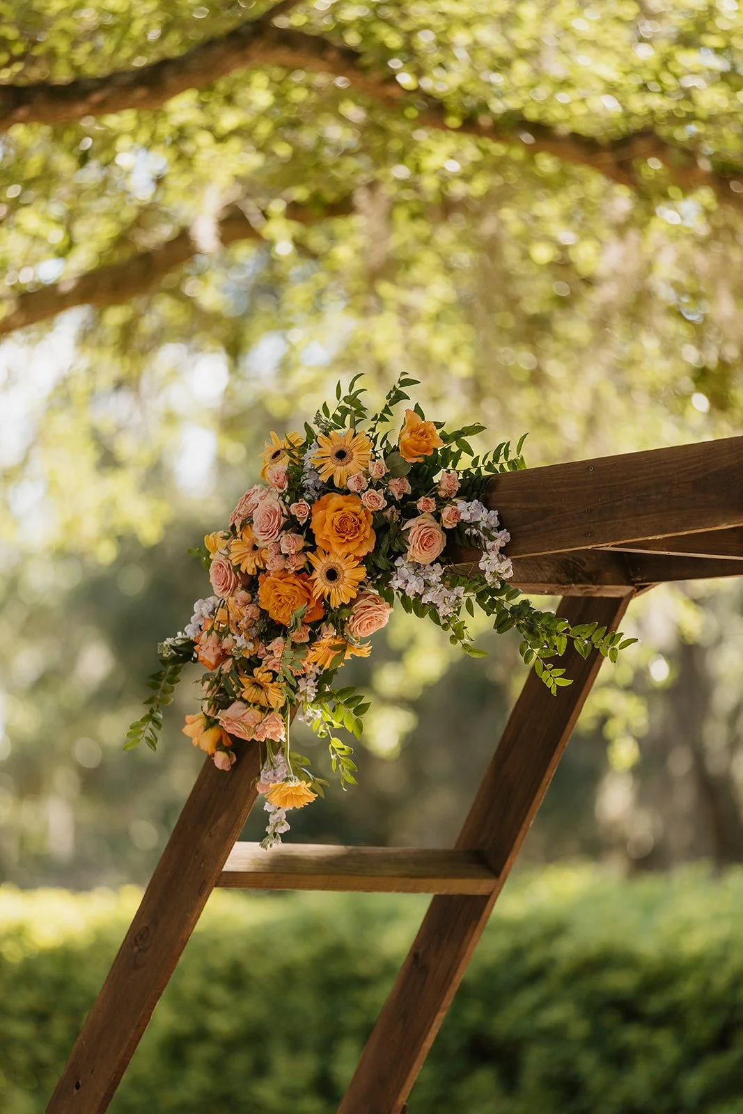 Rastelli Wedding 2026 (JPEG) (283 of 983).jpg