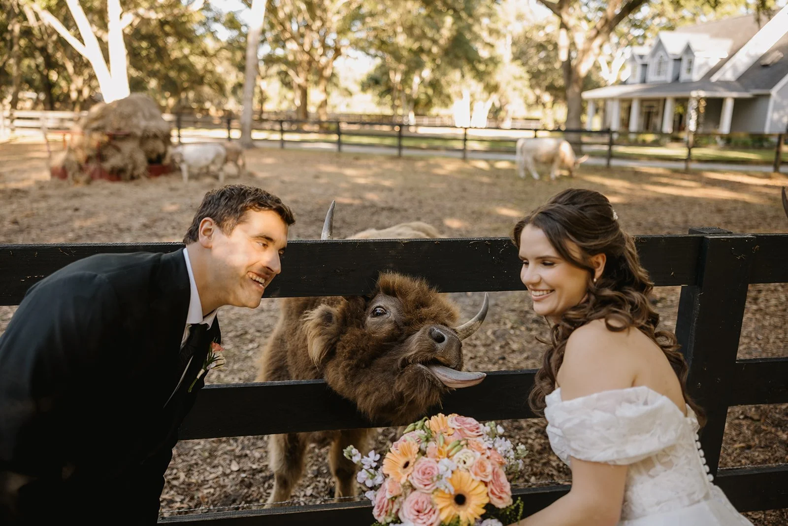 Rastelli Wedding 2026 (JPEG) (500 of 983).jpg