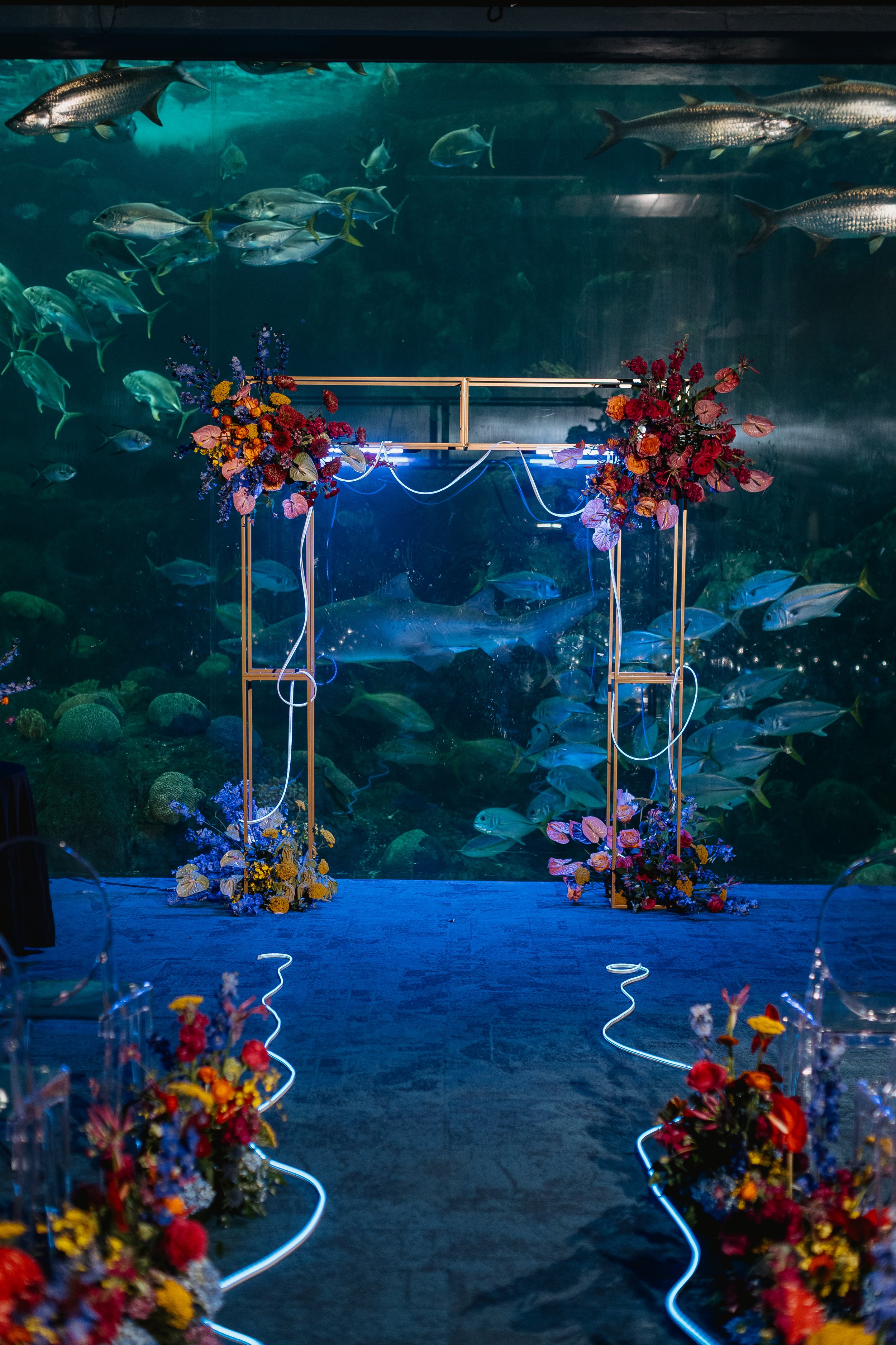 Houtenbrink Wedding 2025 (JPEG) (363 of 1044).jpg