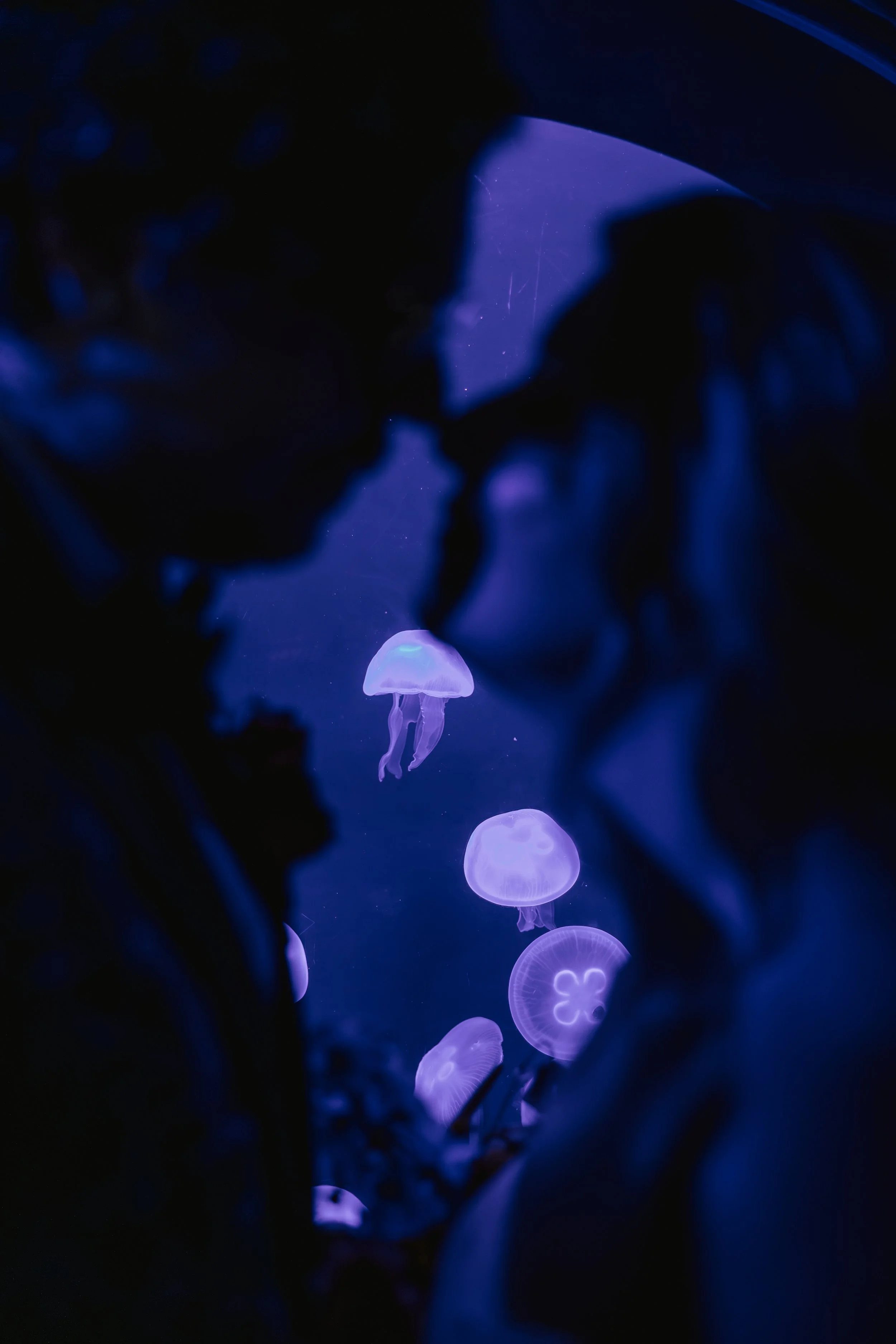 Houtenbrink Wedding 2025 (JPEG) (682 of 1044).jpg