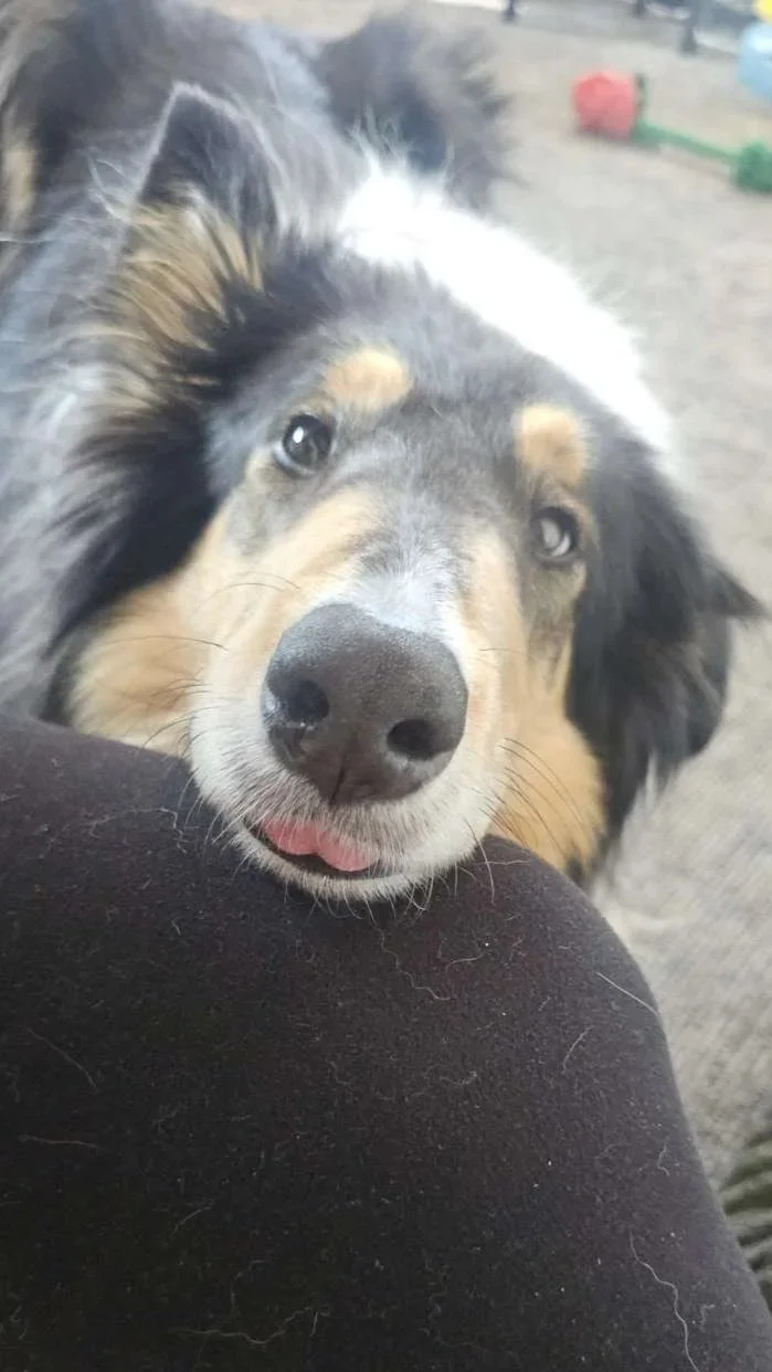 Blep.jpg