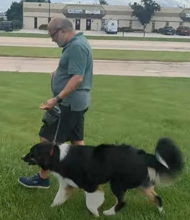 Loose Leash Walking