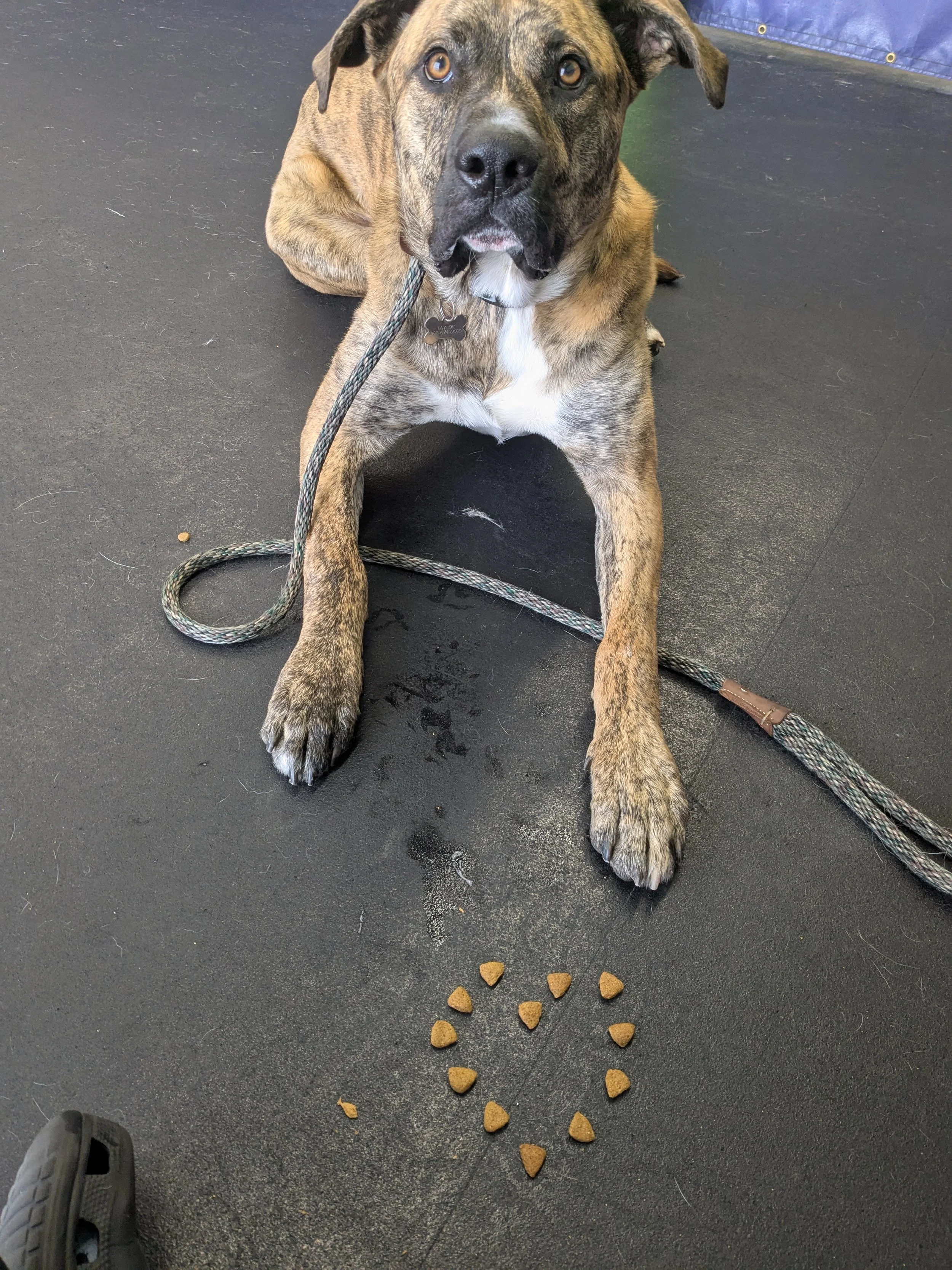 Ripley Heart.jpg