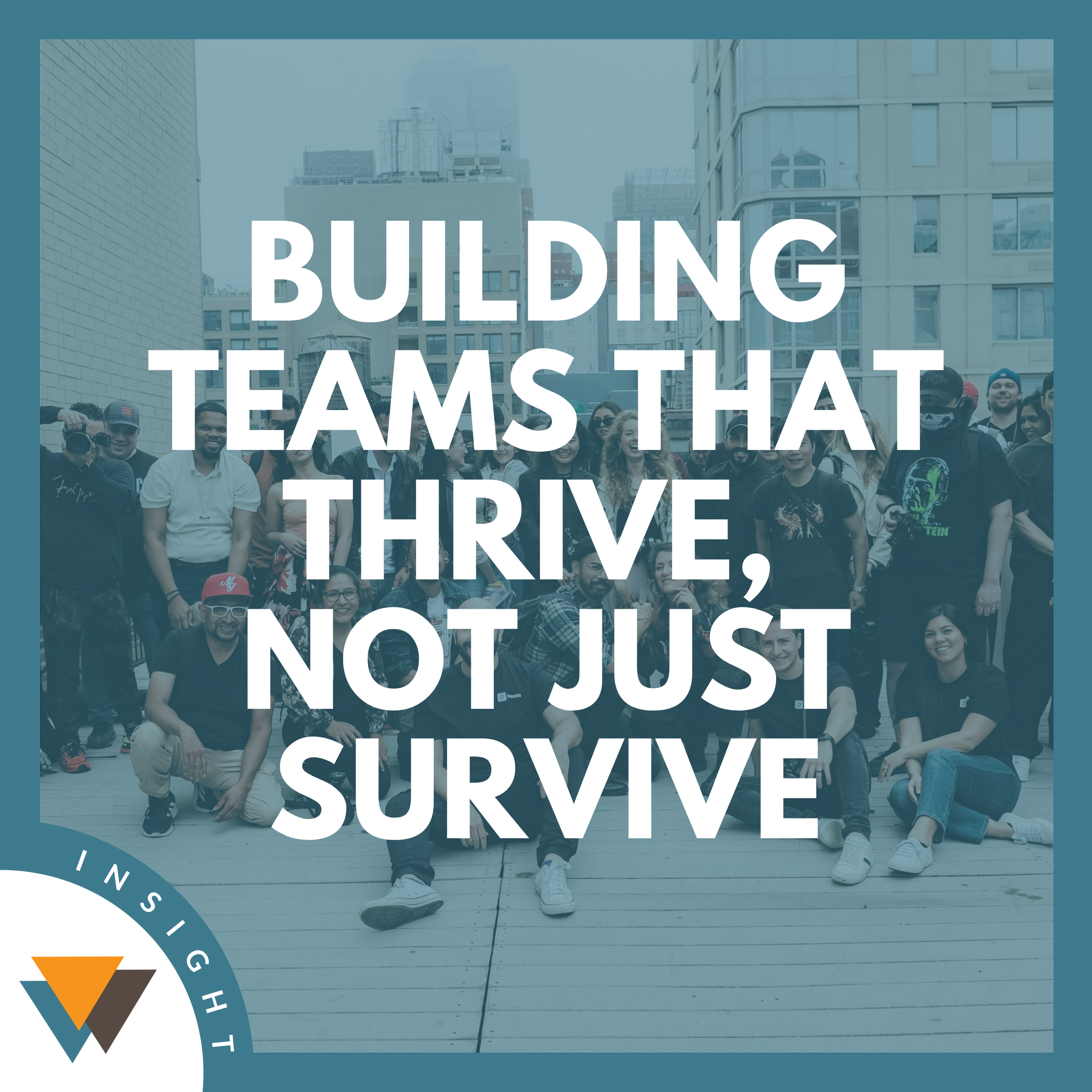 Building Teams That Thrive, Not Just Survive