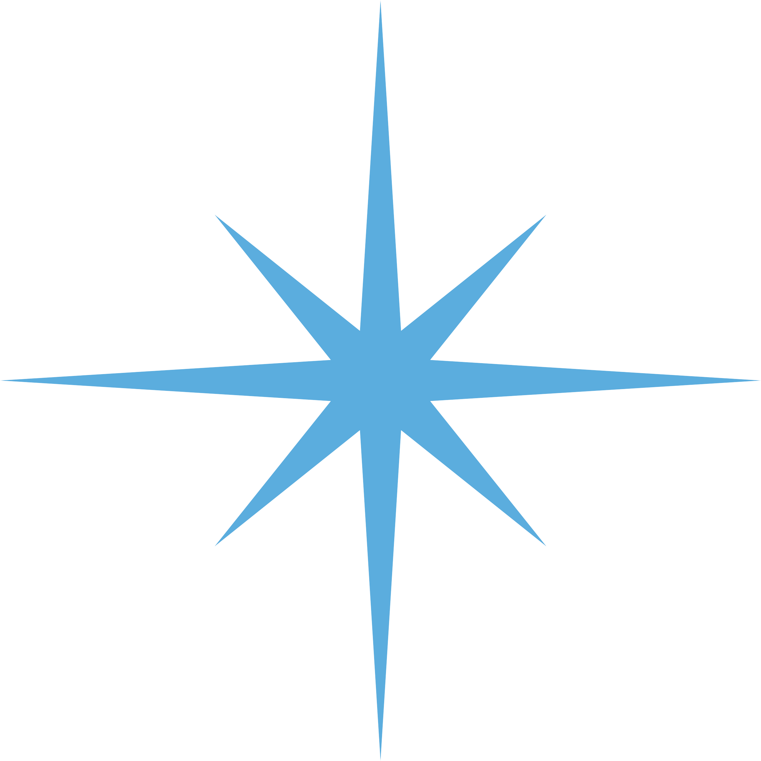 A blue star-shaped graph with multiple points extending outward from the center, presented on a black background. This is based on the 4 main pillars for FHUEL and our strategies to success.