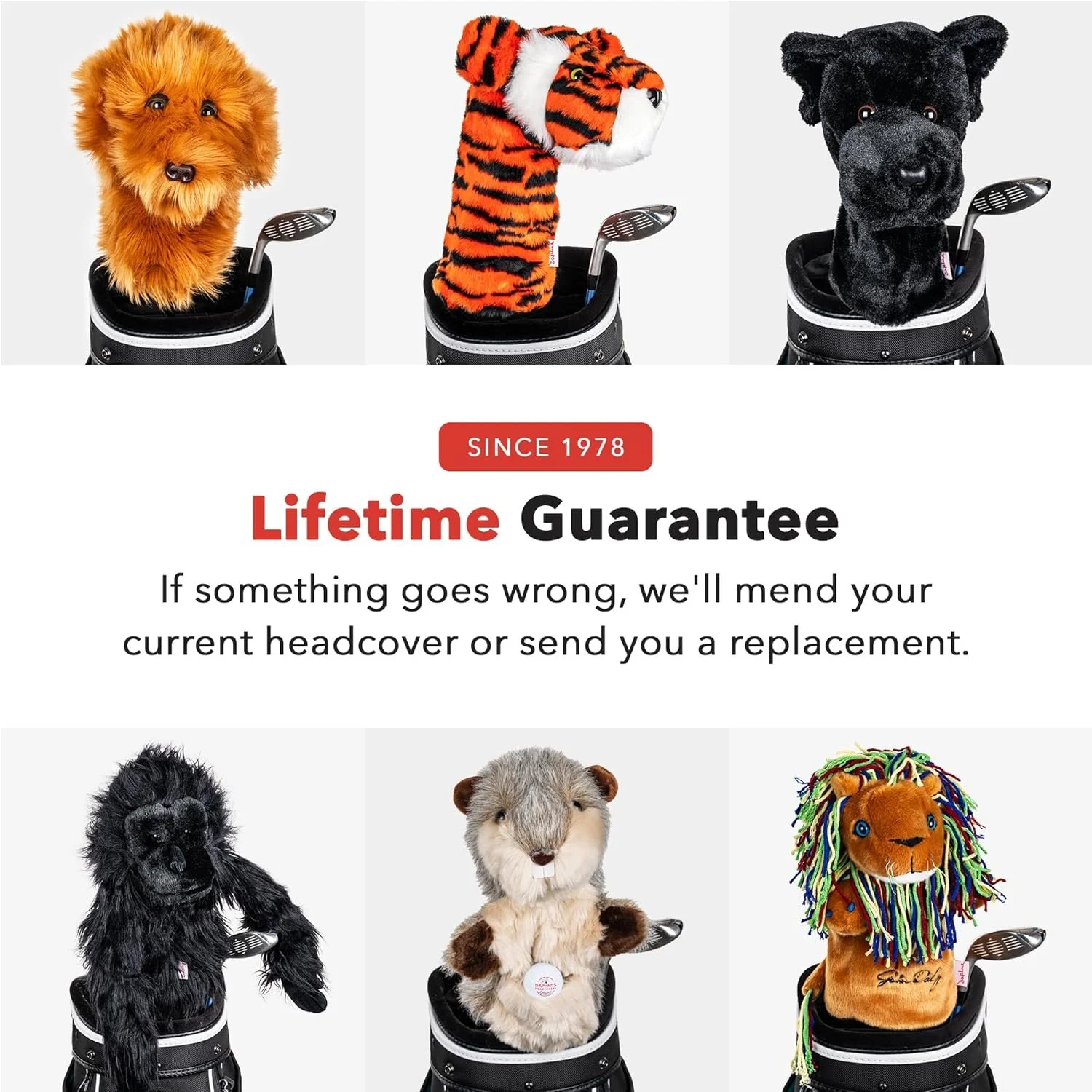 81k-YMzkD1L._AC_SL1500_.jpg