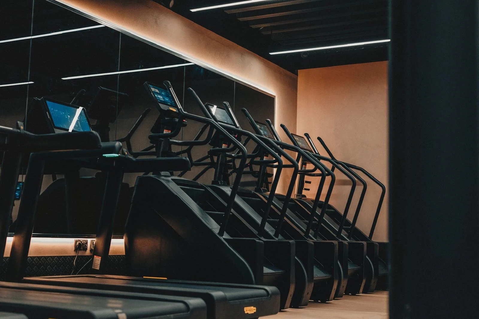 Cardio and weights area