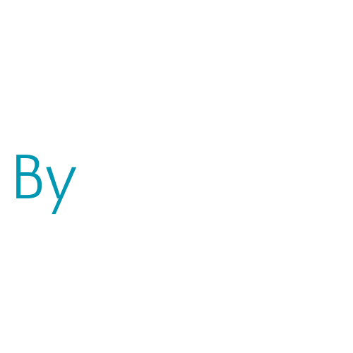 Logo with the text 'By BidPointX' on a black background.