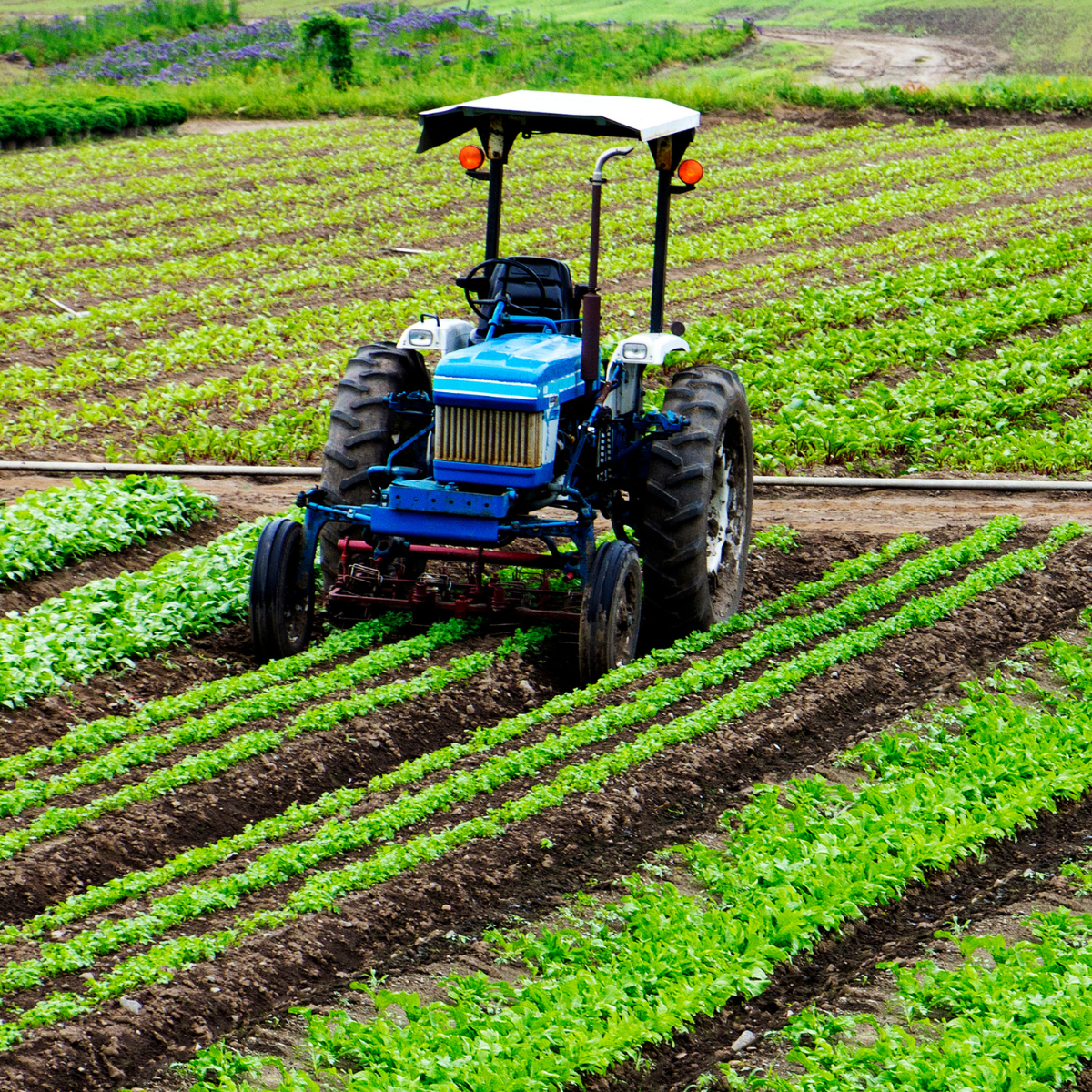 Agriculture Industry.png