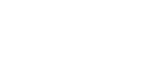 Black background with the white text 'BidPointX' in the center.