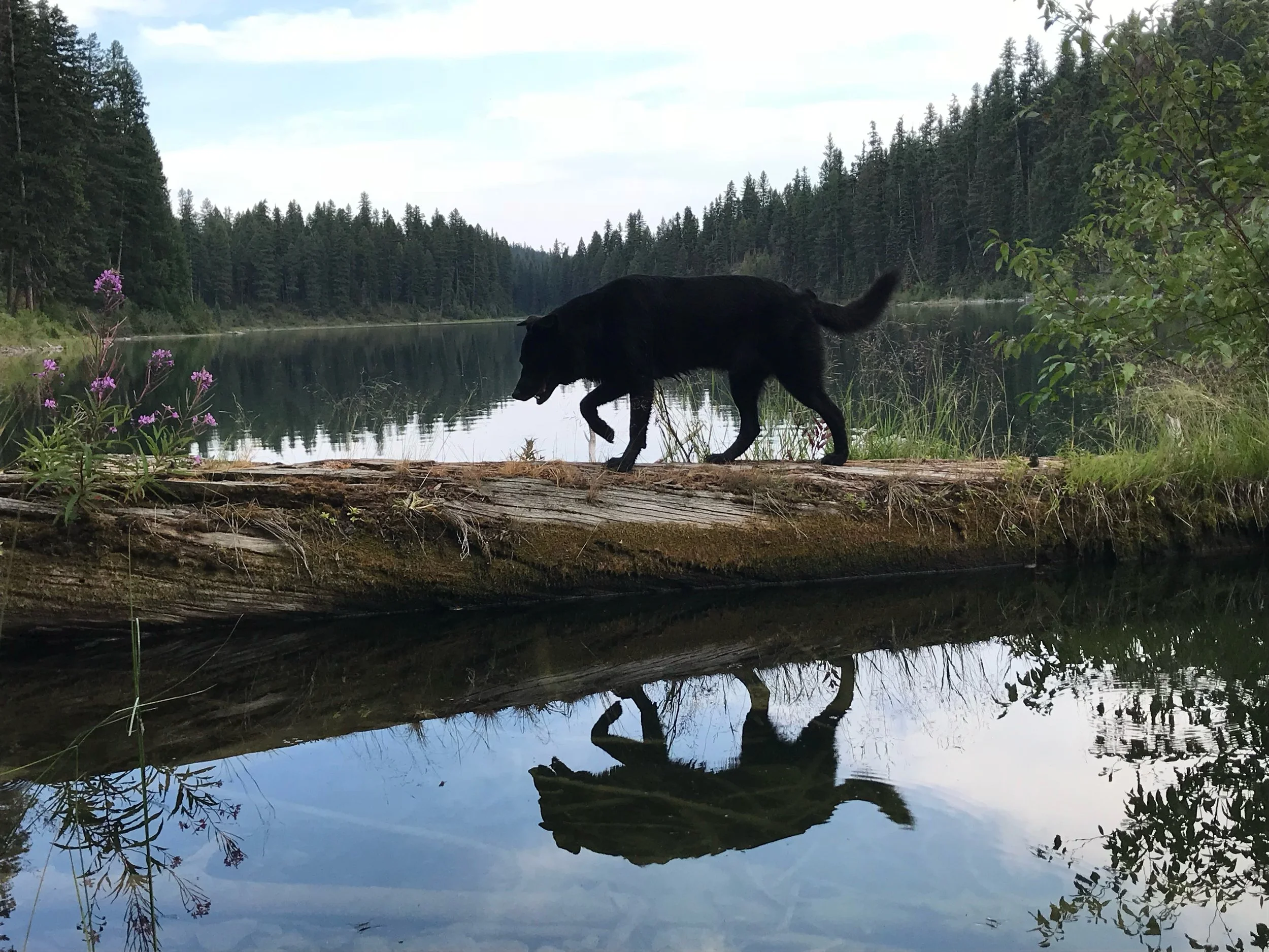 Living Graceful Days: A Reflection on Love, Loss, and Community