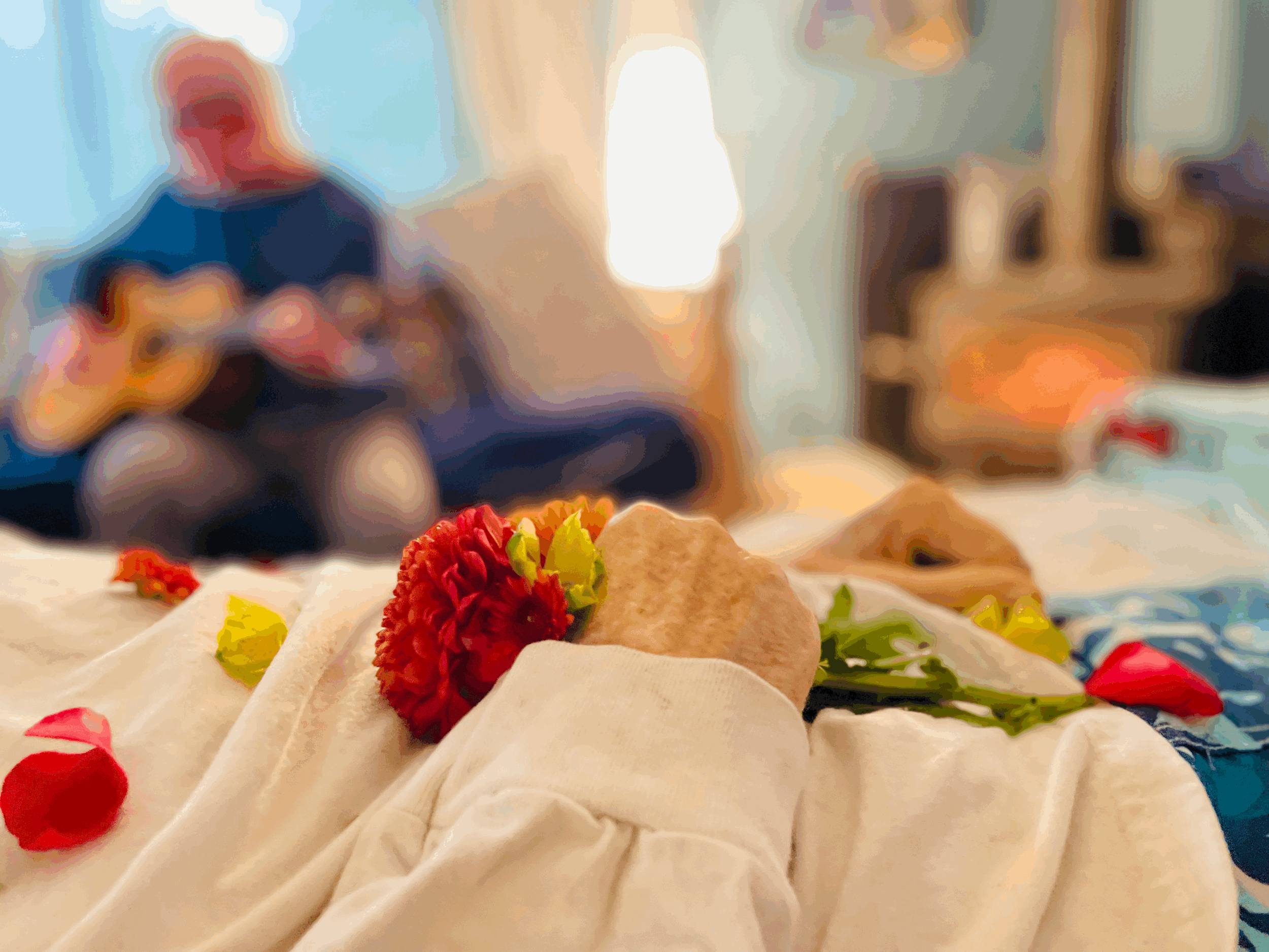 Spring: A Season of Renewal and Letting Go