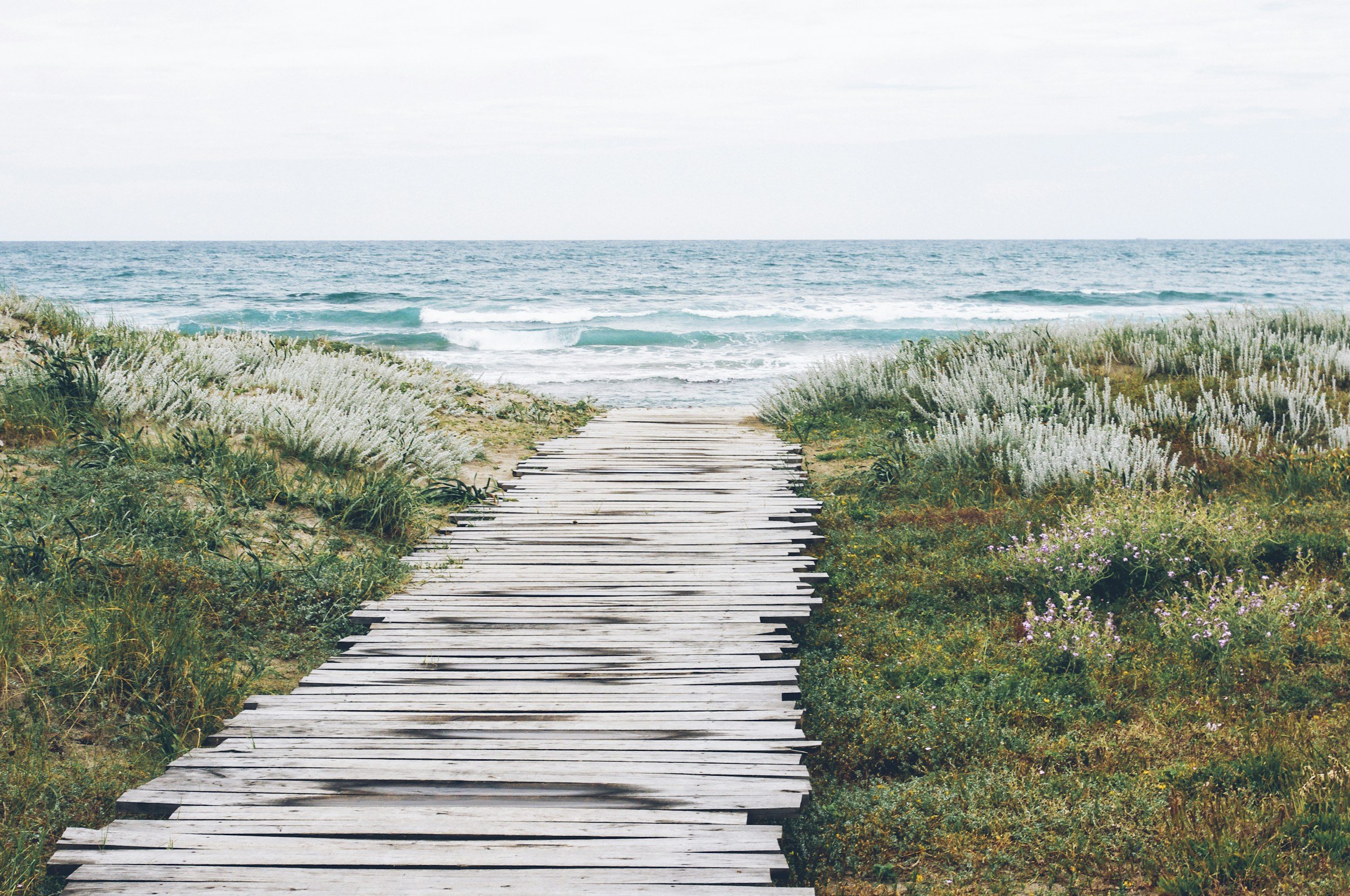 Wooden pathway leading to the ocean with plants on both sides.