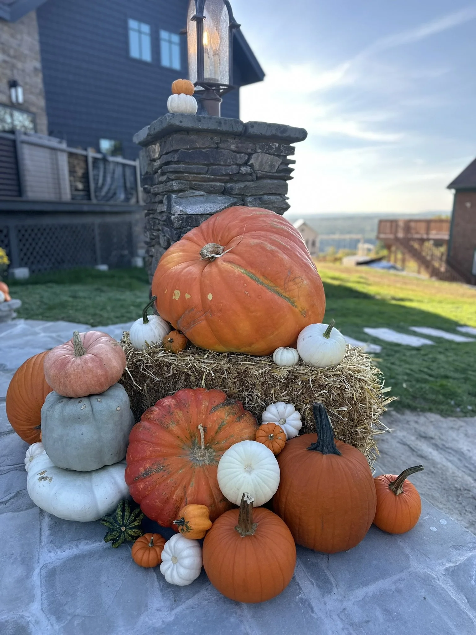 Prize Winning Pumpkin (Add-On)
