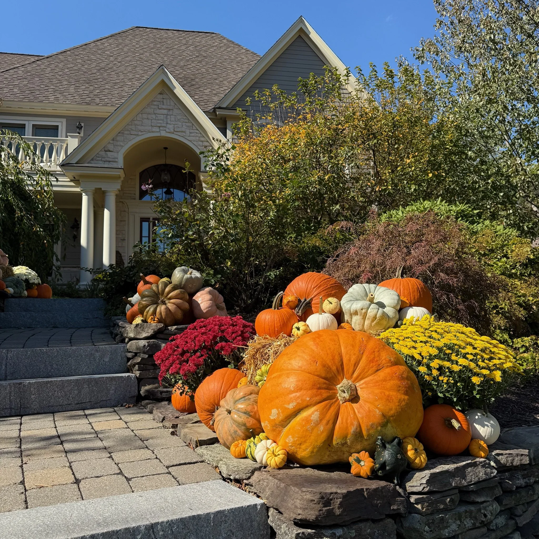 Grand Pumpkin Package