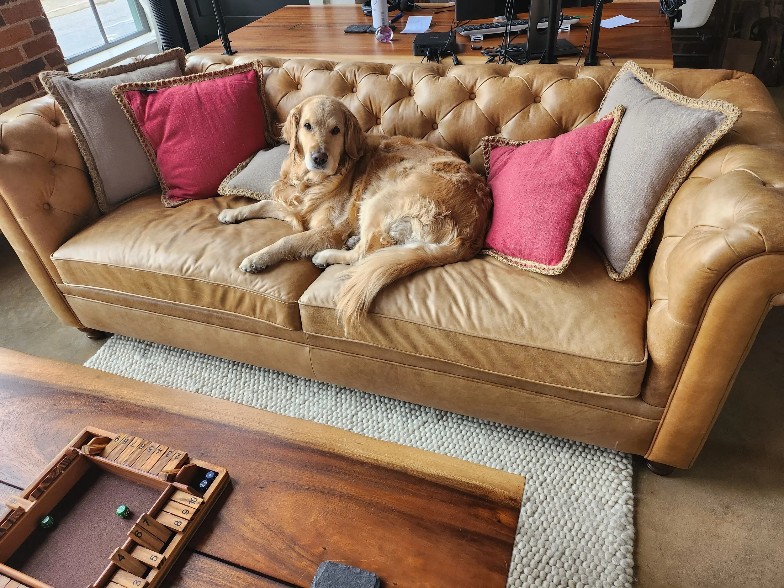 Sammye the Queen.jpg