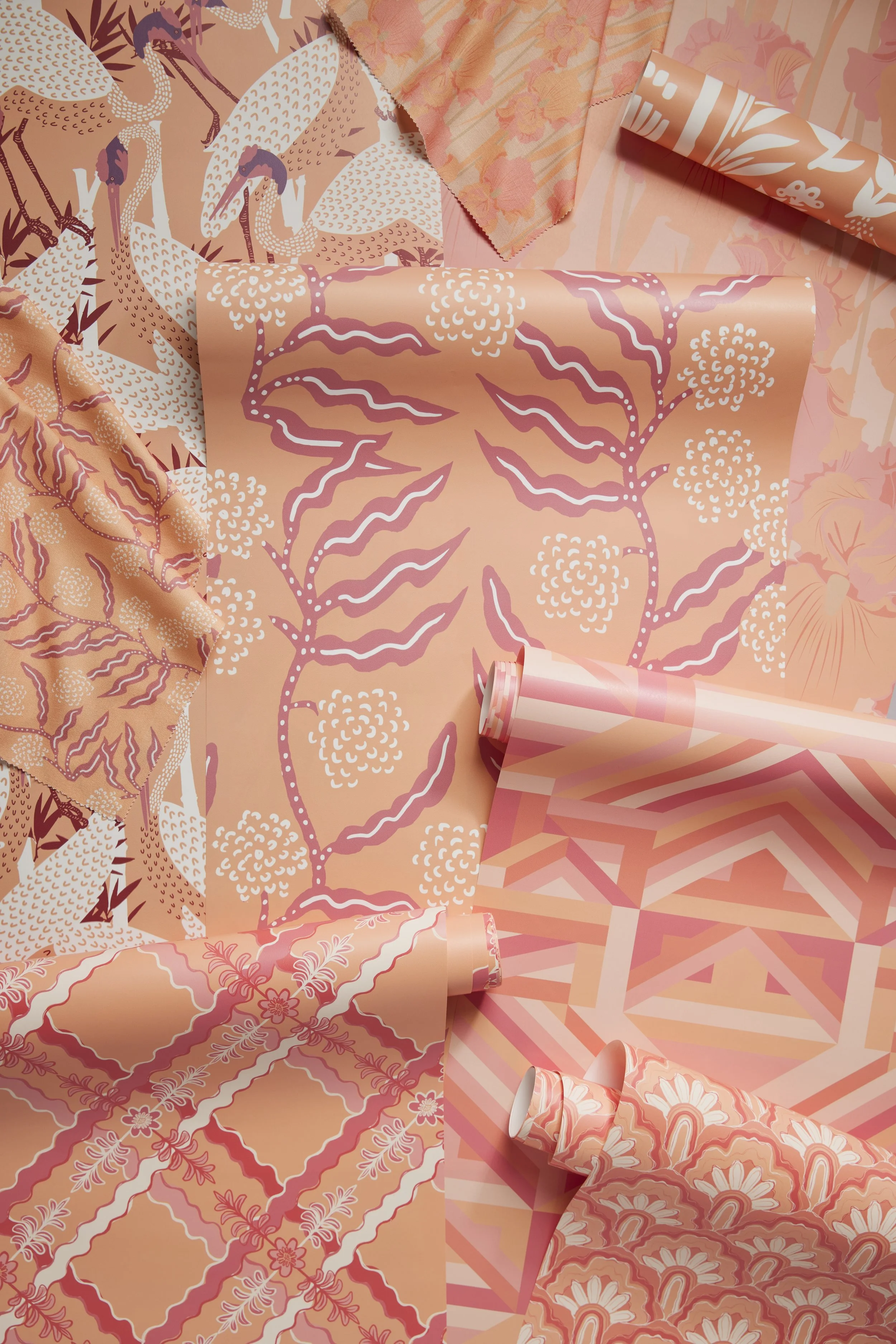 SFNovemberProduct_0090.jpg