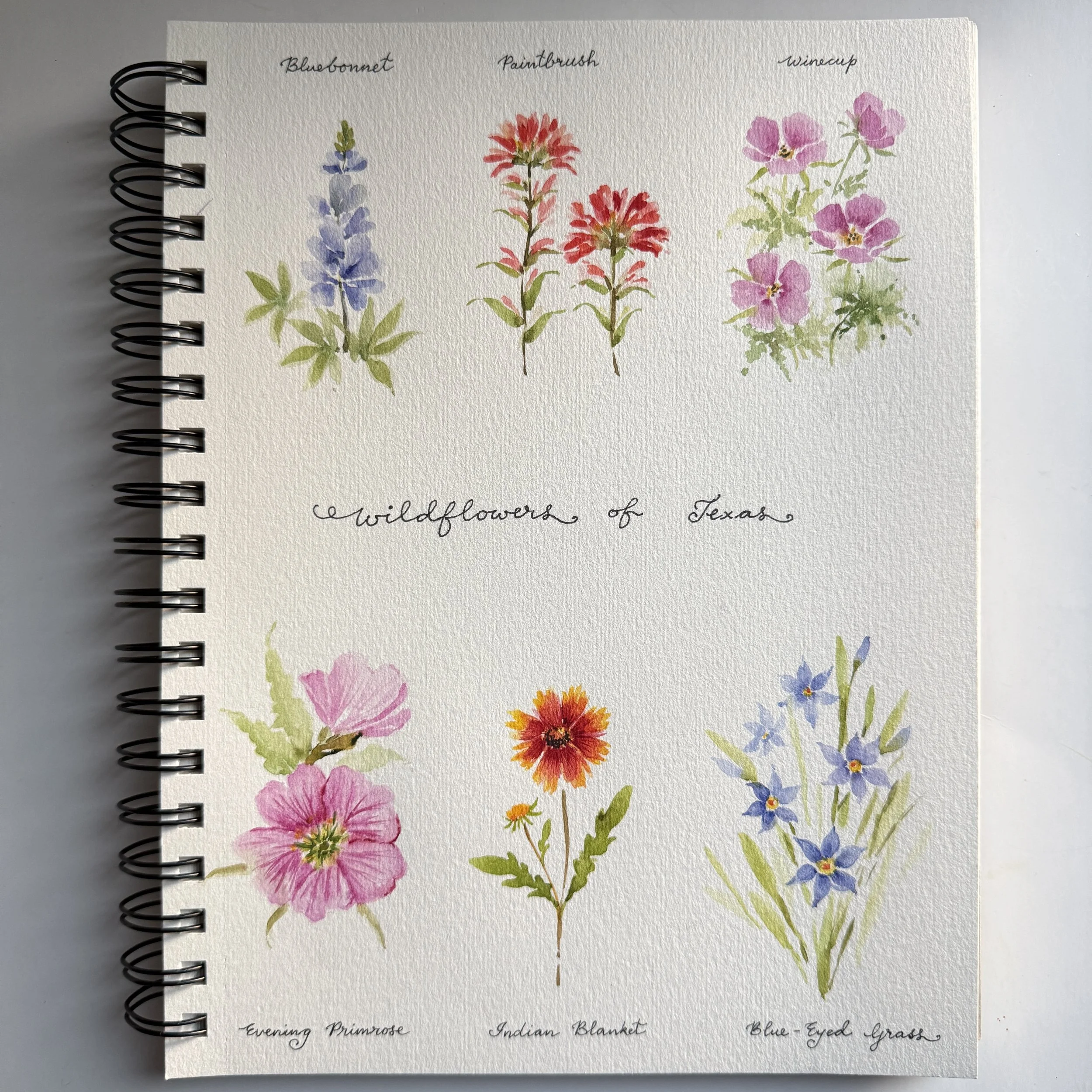 Wildflowers of Texas