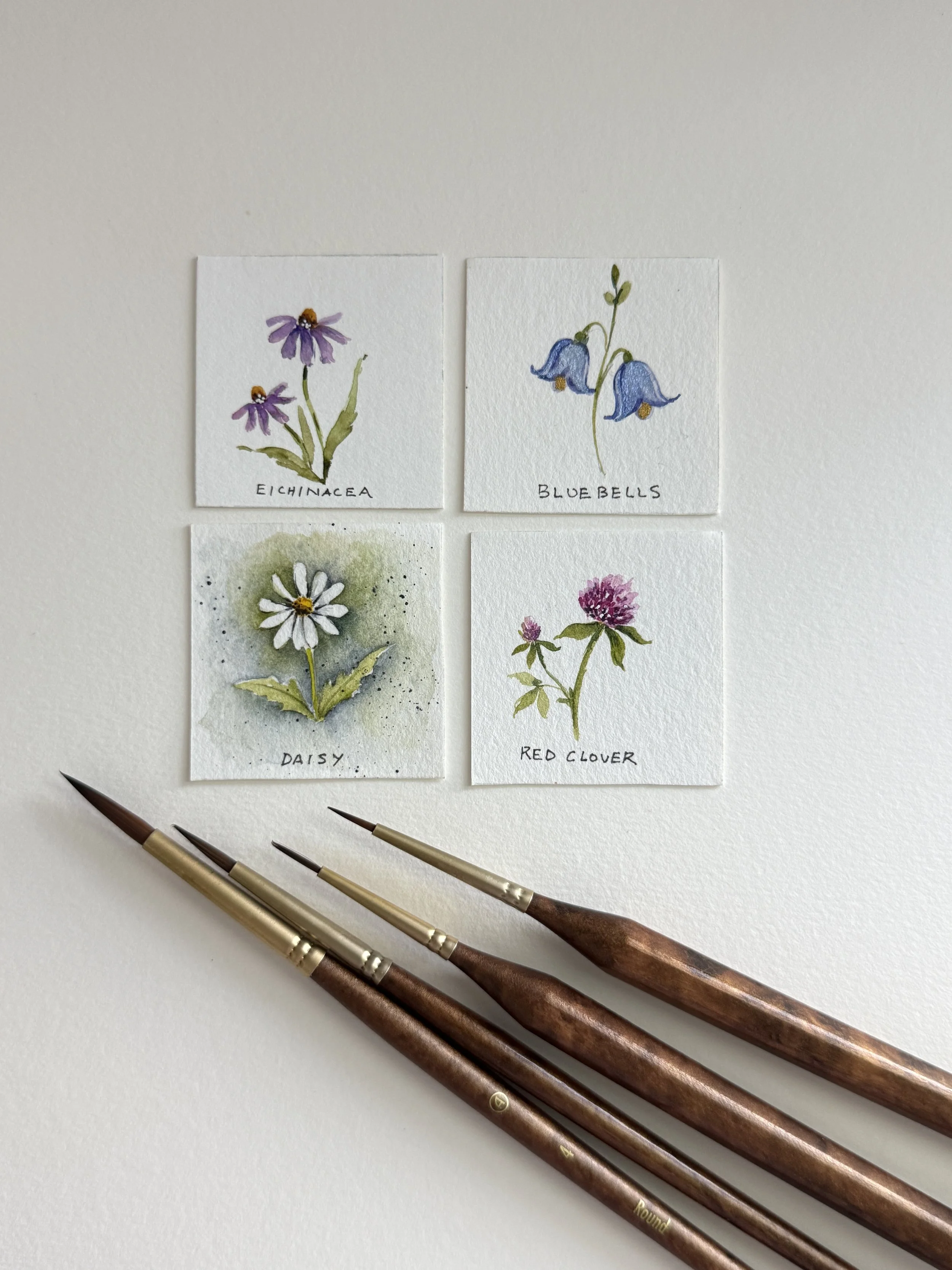 Tiny wildflowers