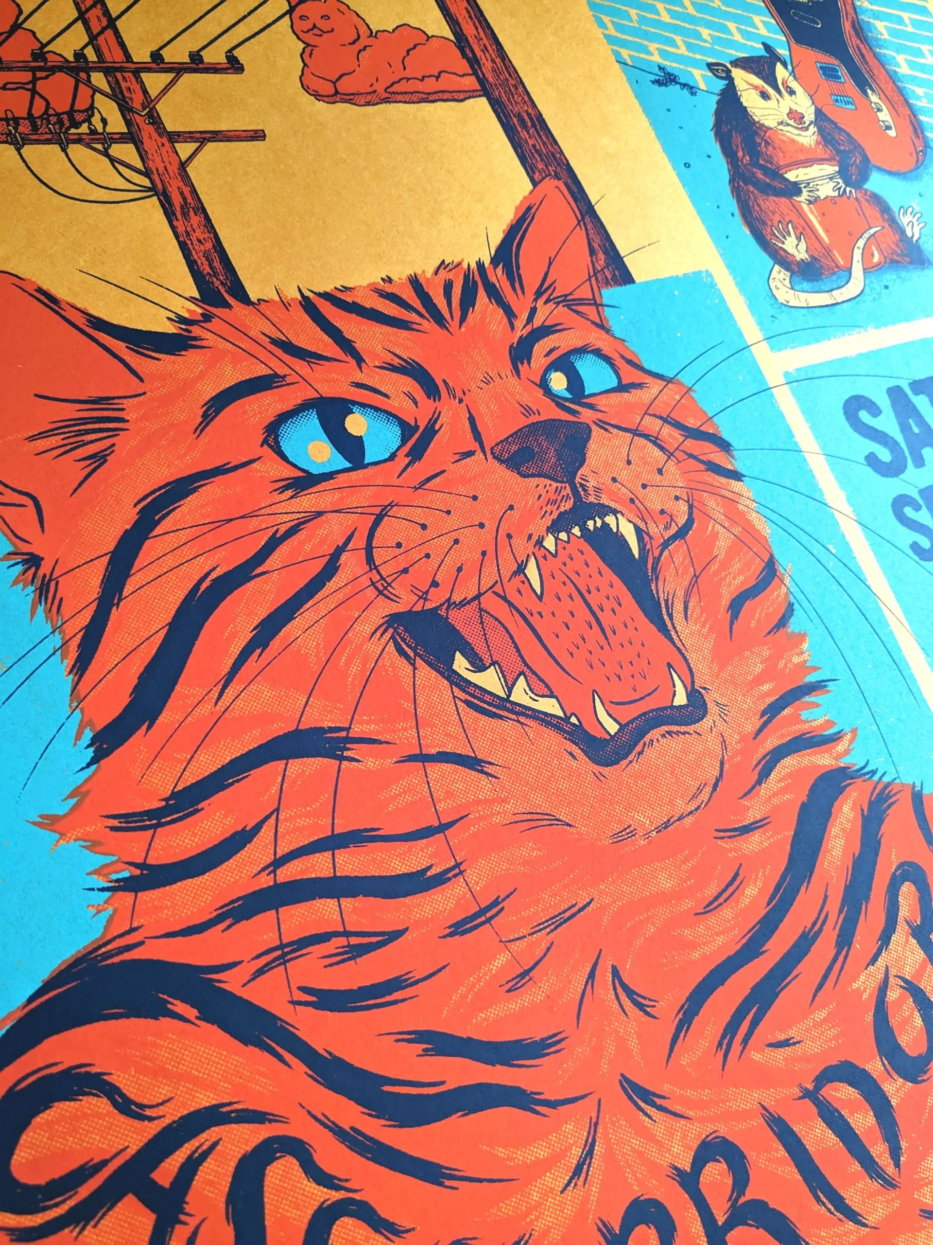 DallyPoster_CatCloseUp-scaled.jpg