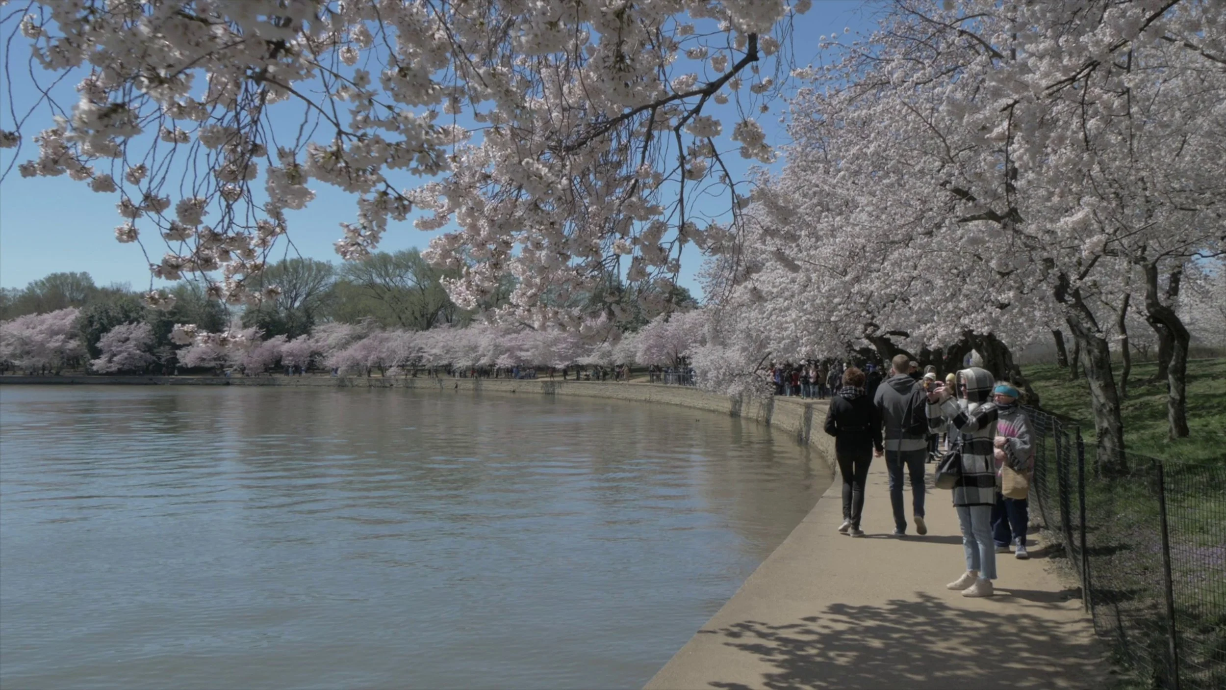 Washington, DC hybrid and live broadcast event production with technical staging and streaming