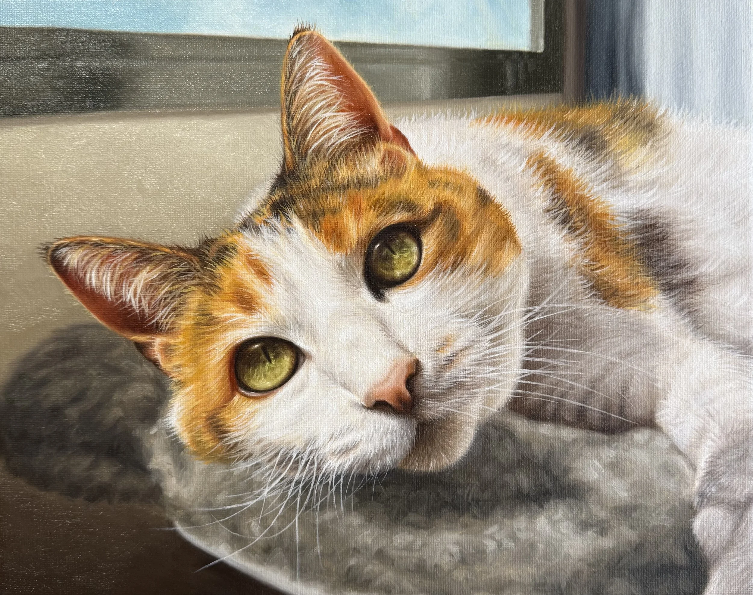 "Spud" 24x30cm oil on canvas