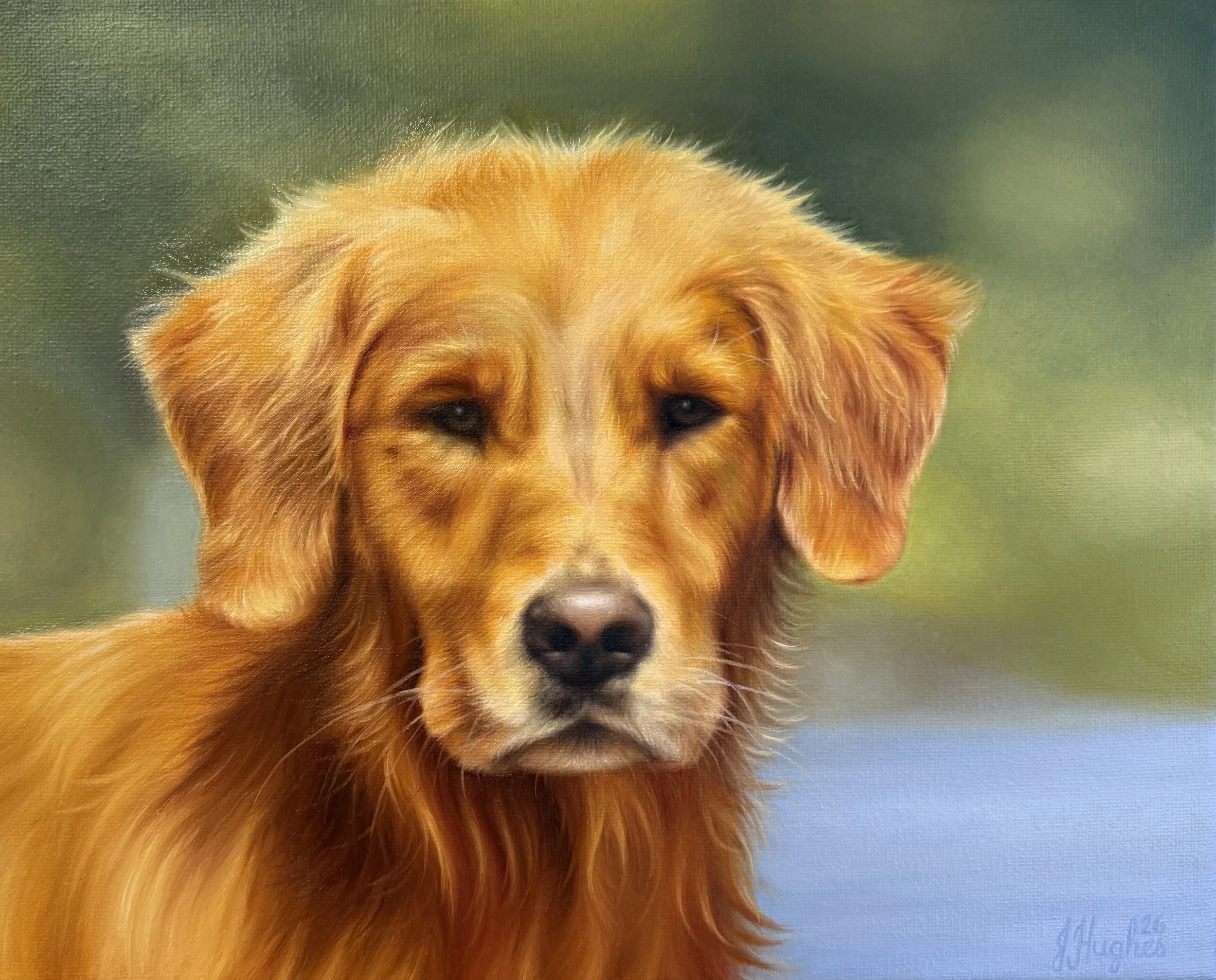 "Finn" 24x30cm oil on canvas