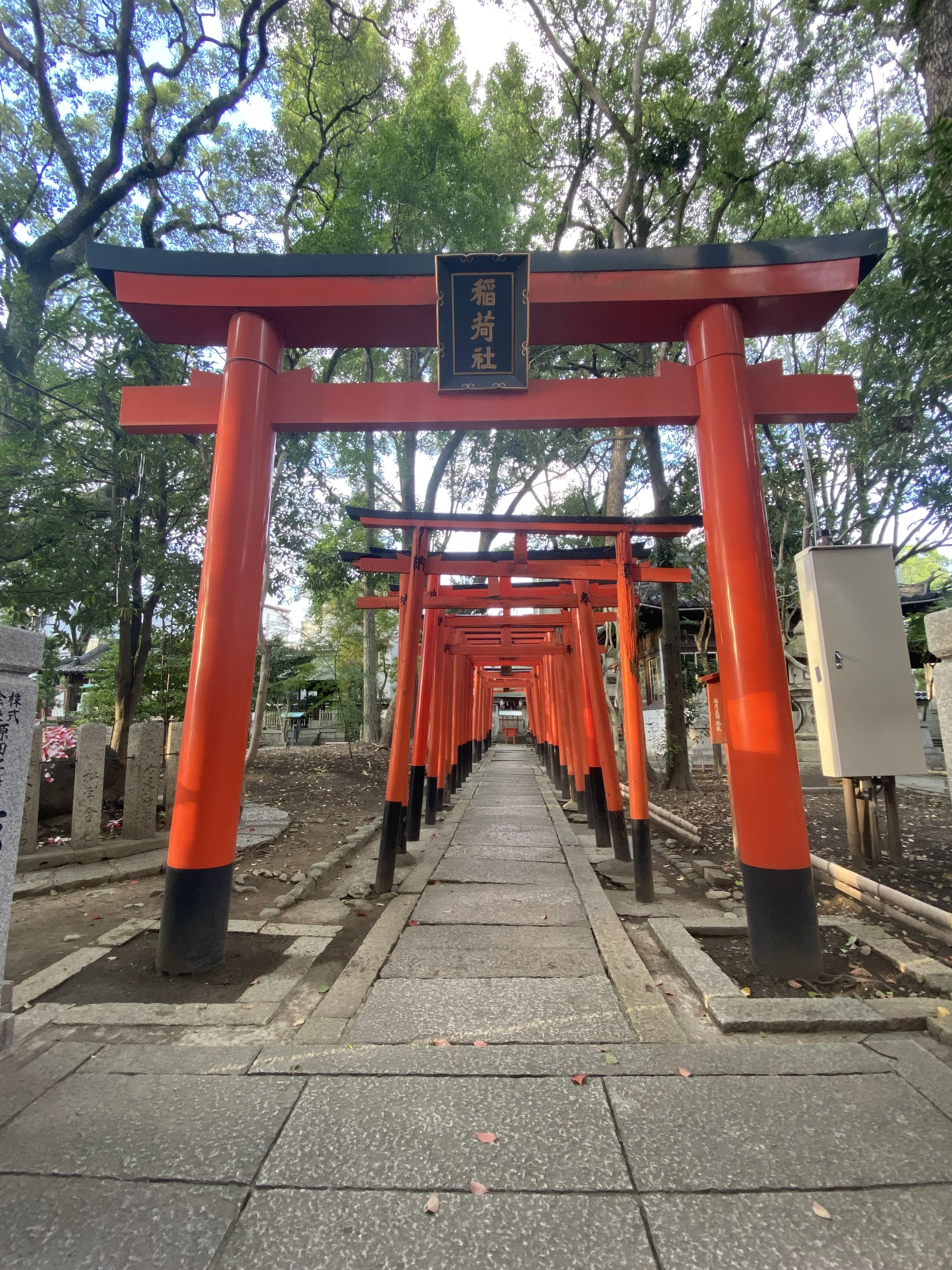 torii announce the entrance to a shinto shrine