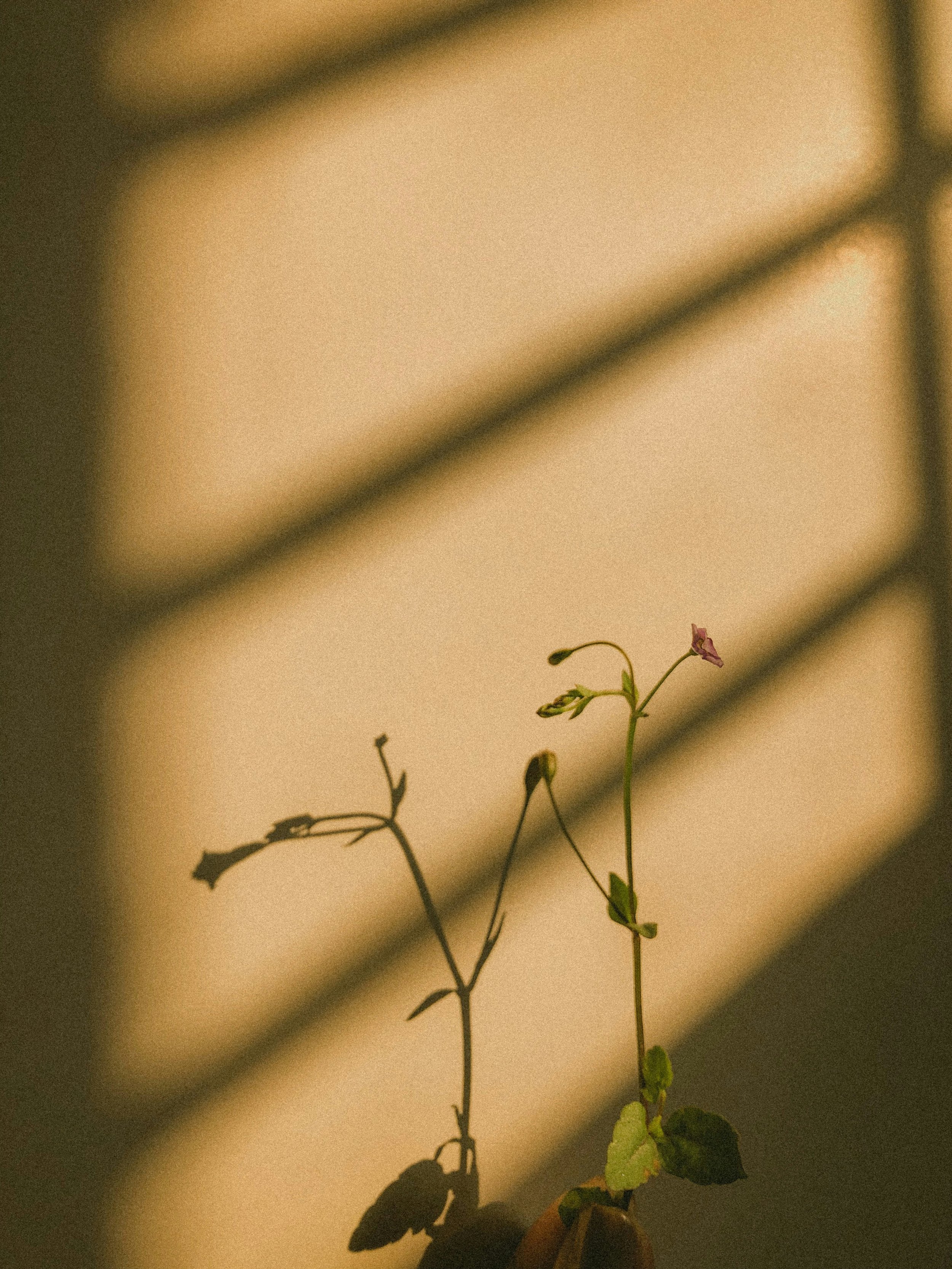 Humble in the Prep, Confident in the Room: A Gritty Therapist Take on Self-Reflection