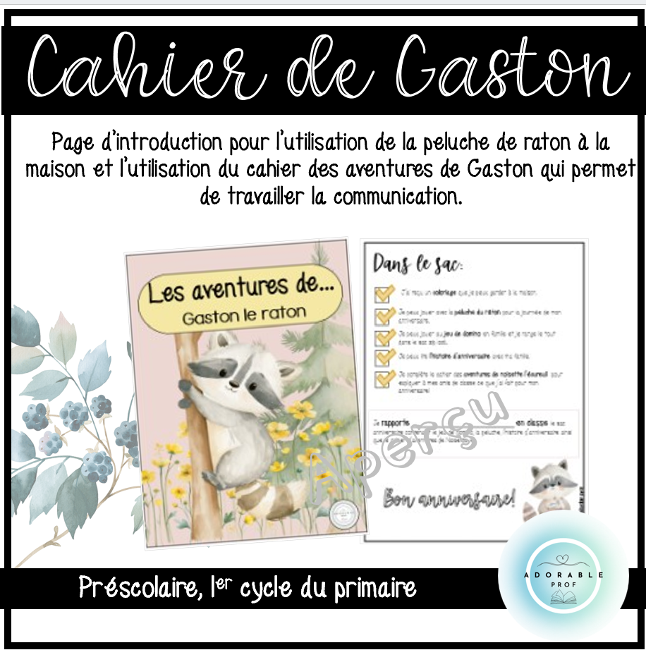 SAC ANNIVERSAIRE, raton, p2.png