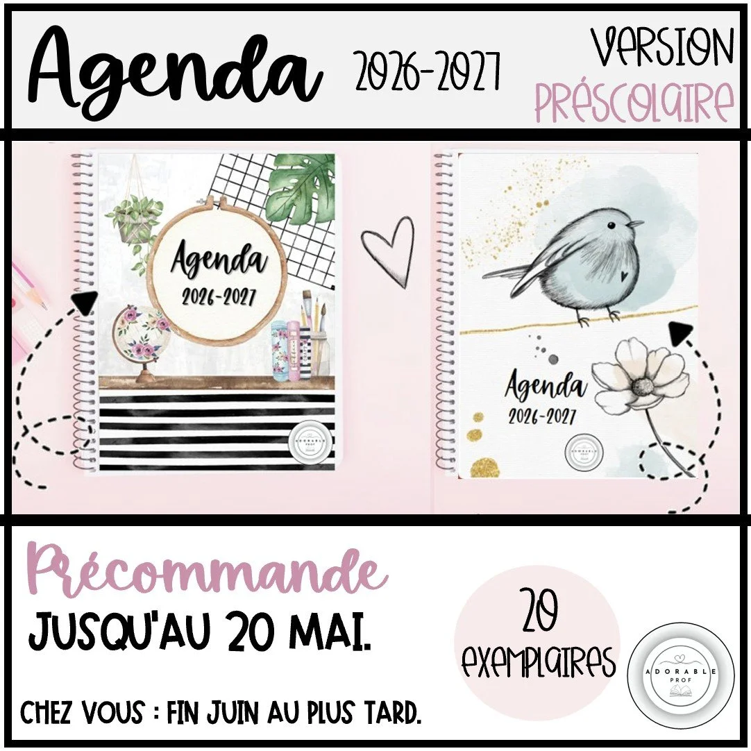 agenda physique 2 modèles- précommande p.2.jpg