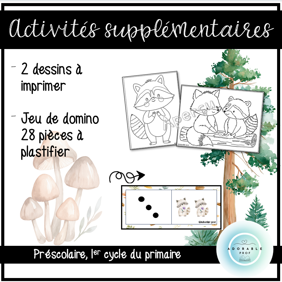 SAC ANNIVERSAIRE, raton, p5.png