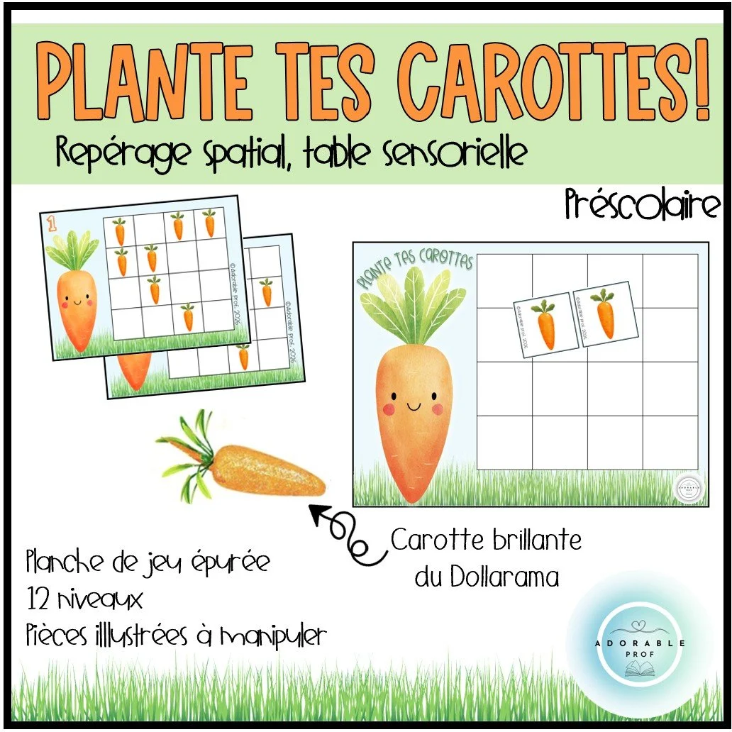 Plante tes carottes! - repérage spatial & bac sensoriel