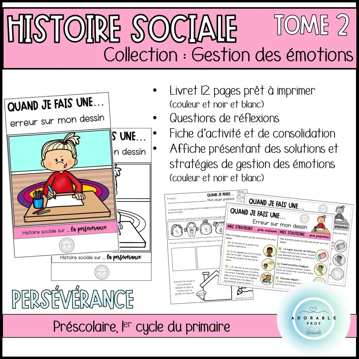Histoire sociale - Tome 2 : Gestion des émotions et persévérance