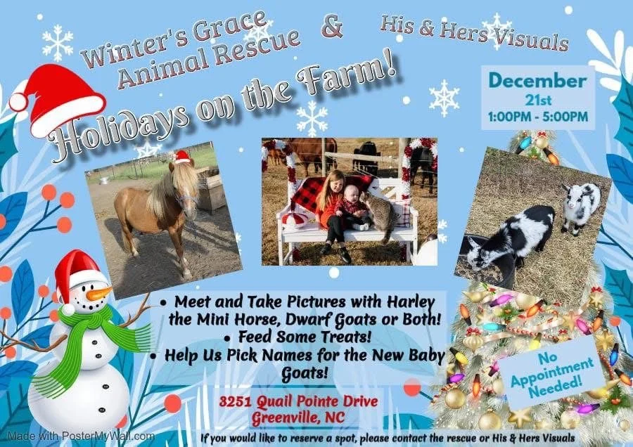 Holidays on the Farm