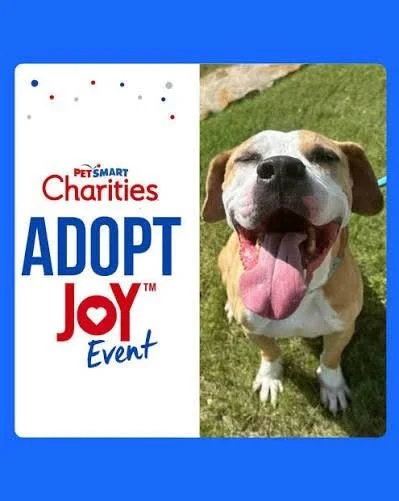 Petsmart  Adopt Joy Event