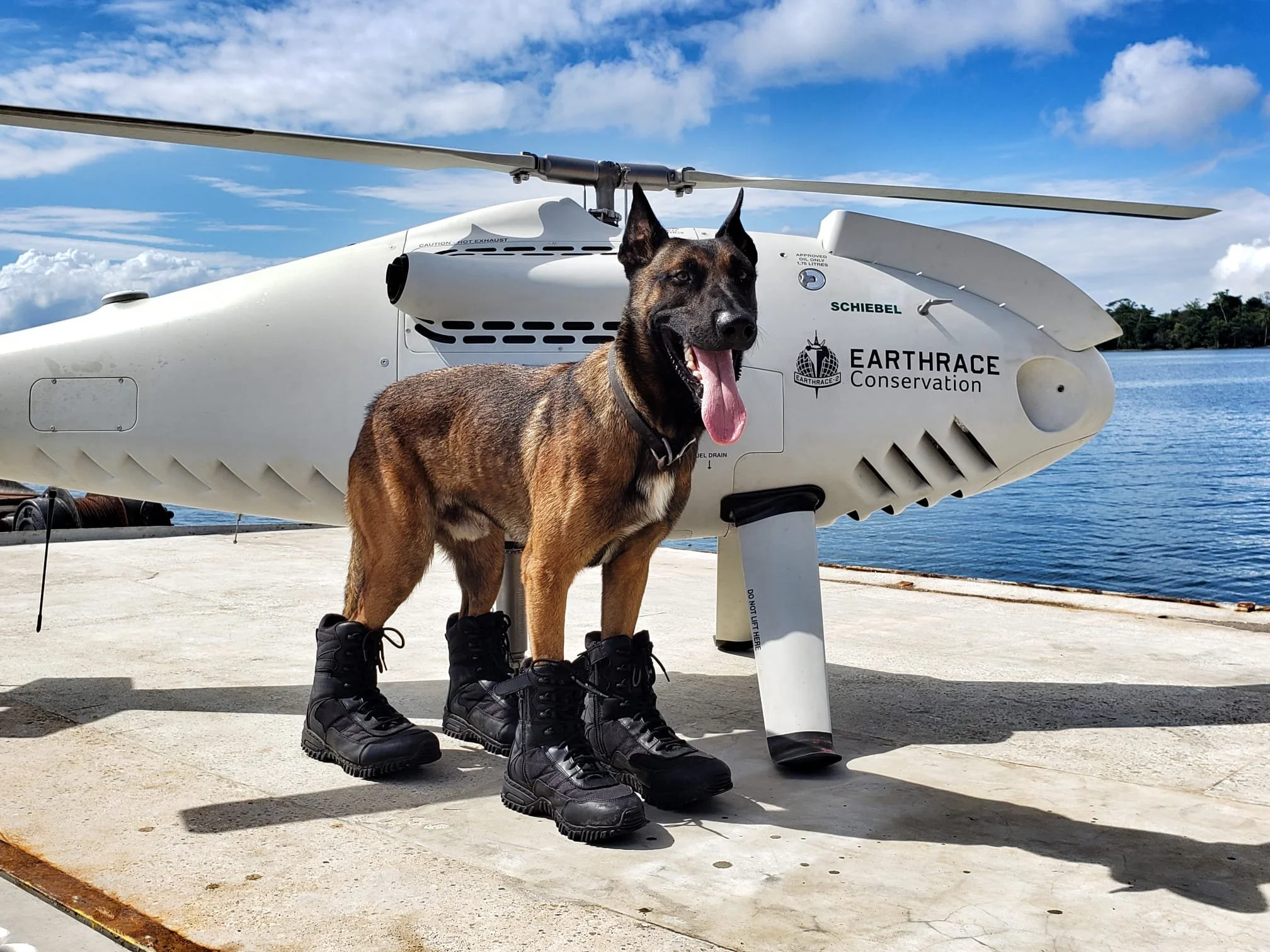 Malinois dog infront of a Schiebel UAV drone with logo "Earthrace Conservation"