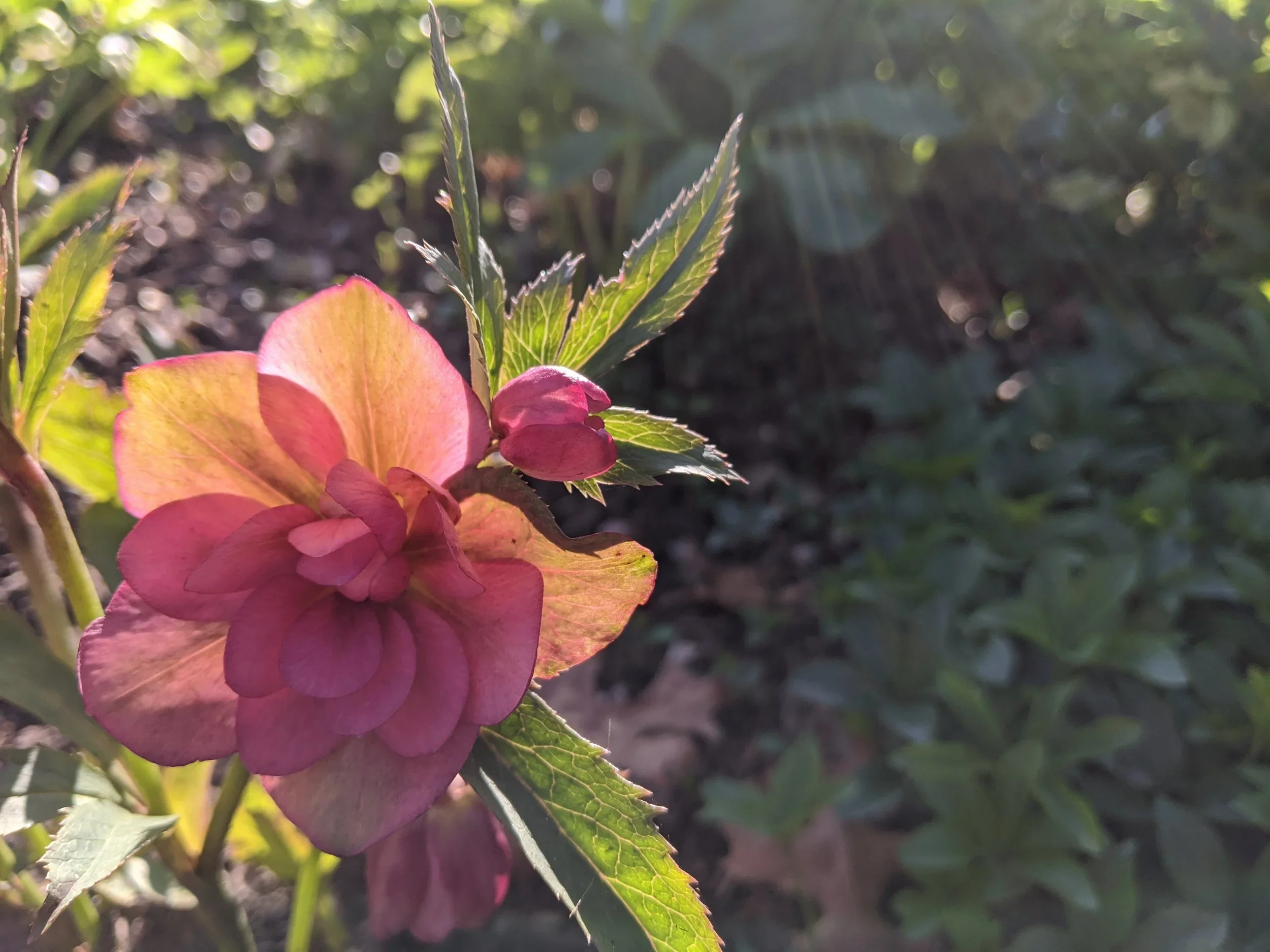 Be Always with Christ