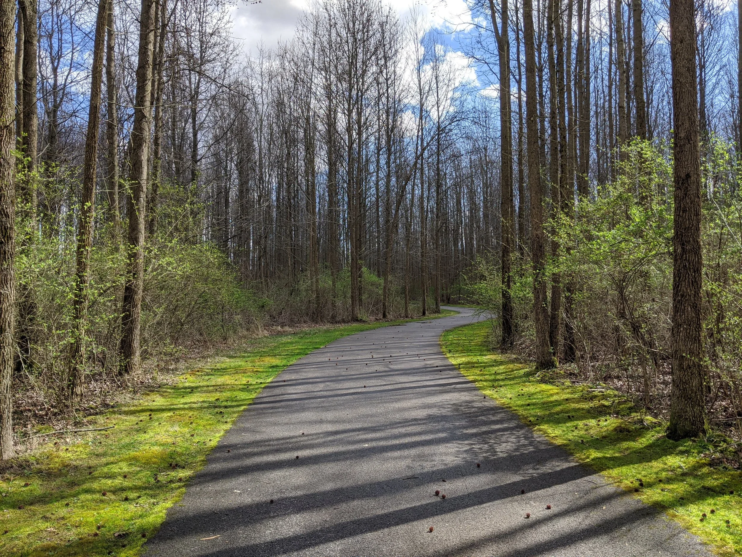 And Trust God in Everything