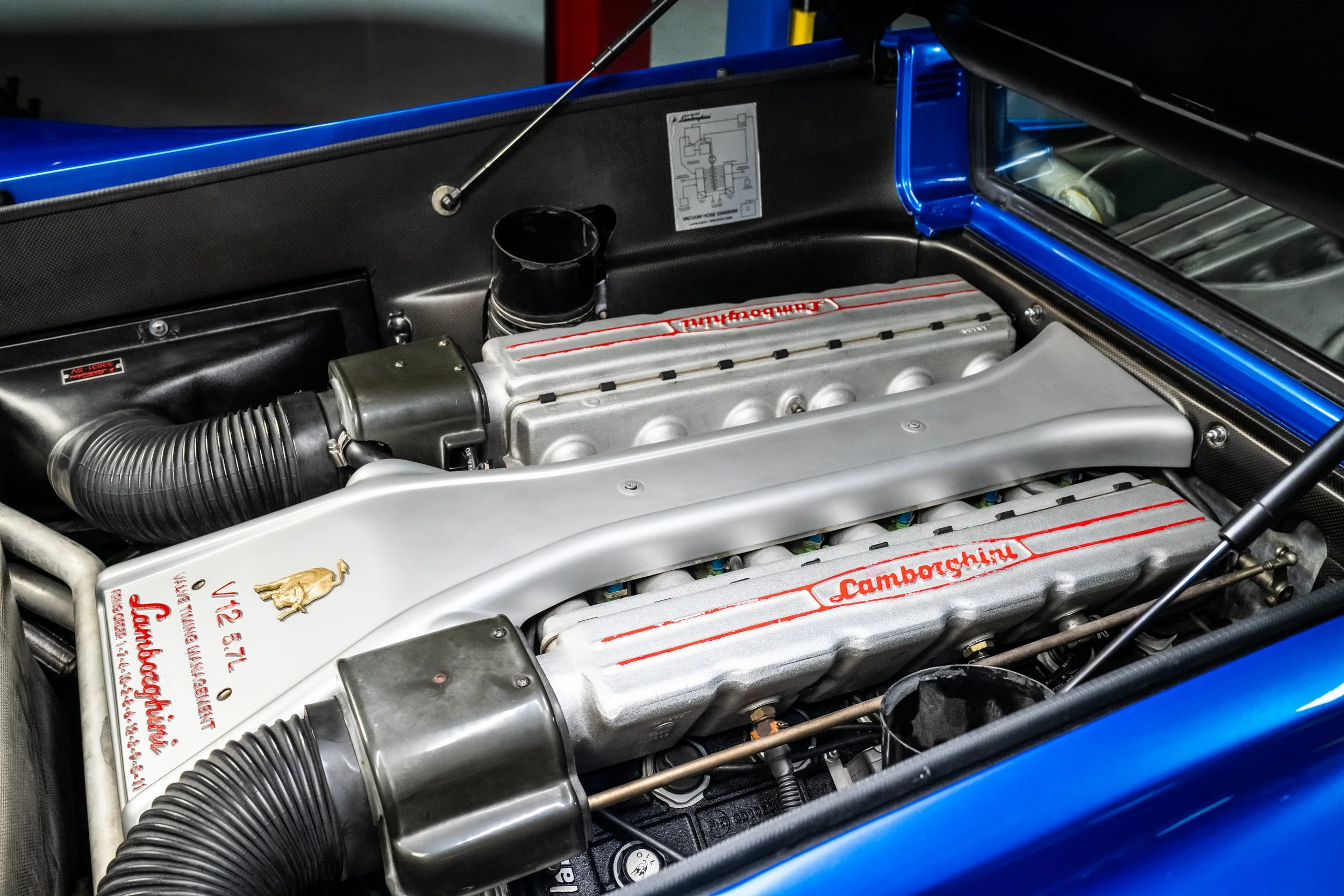 Close-up view of a Lamborghini V12 engine inside a car's engine bay, with the Lamborghini logo and branding visible on the silver engine cover, surrounded by hoses, wires, and electrical components.