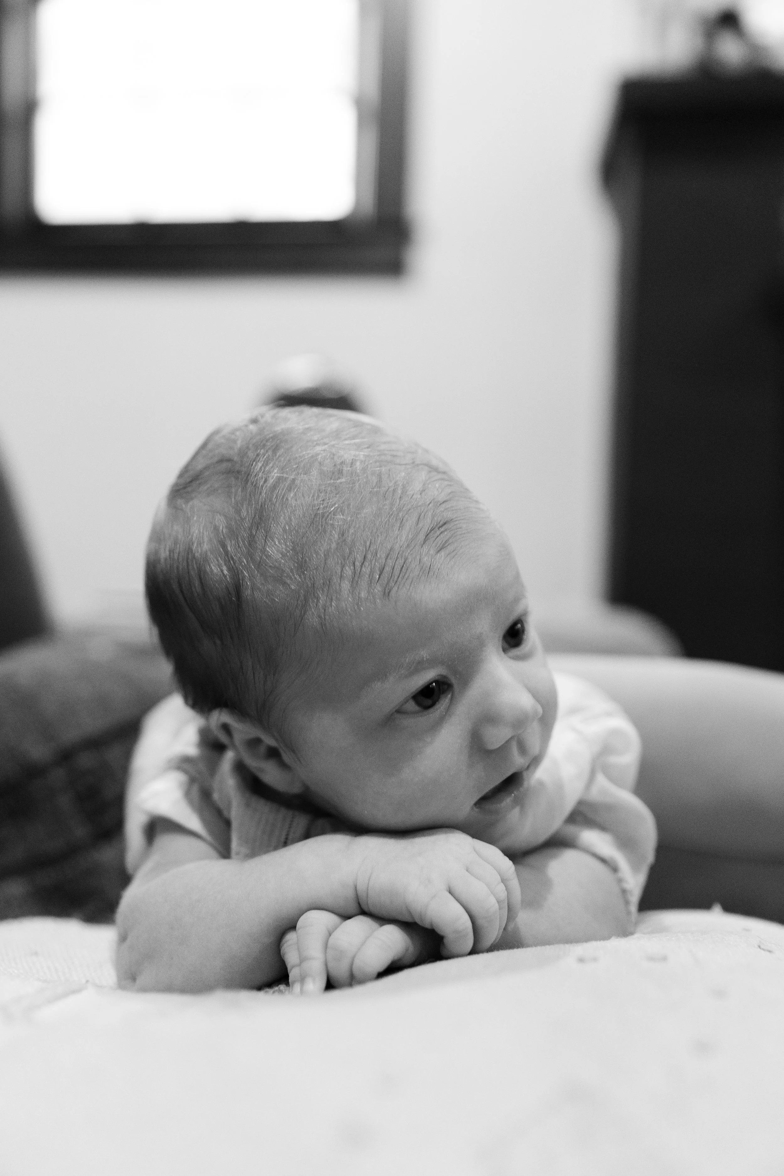 7Z8A7528.jpg