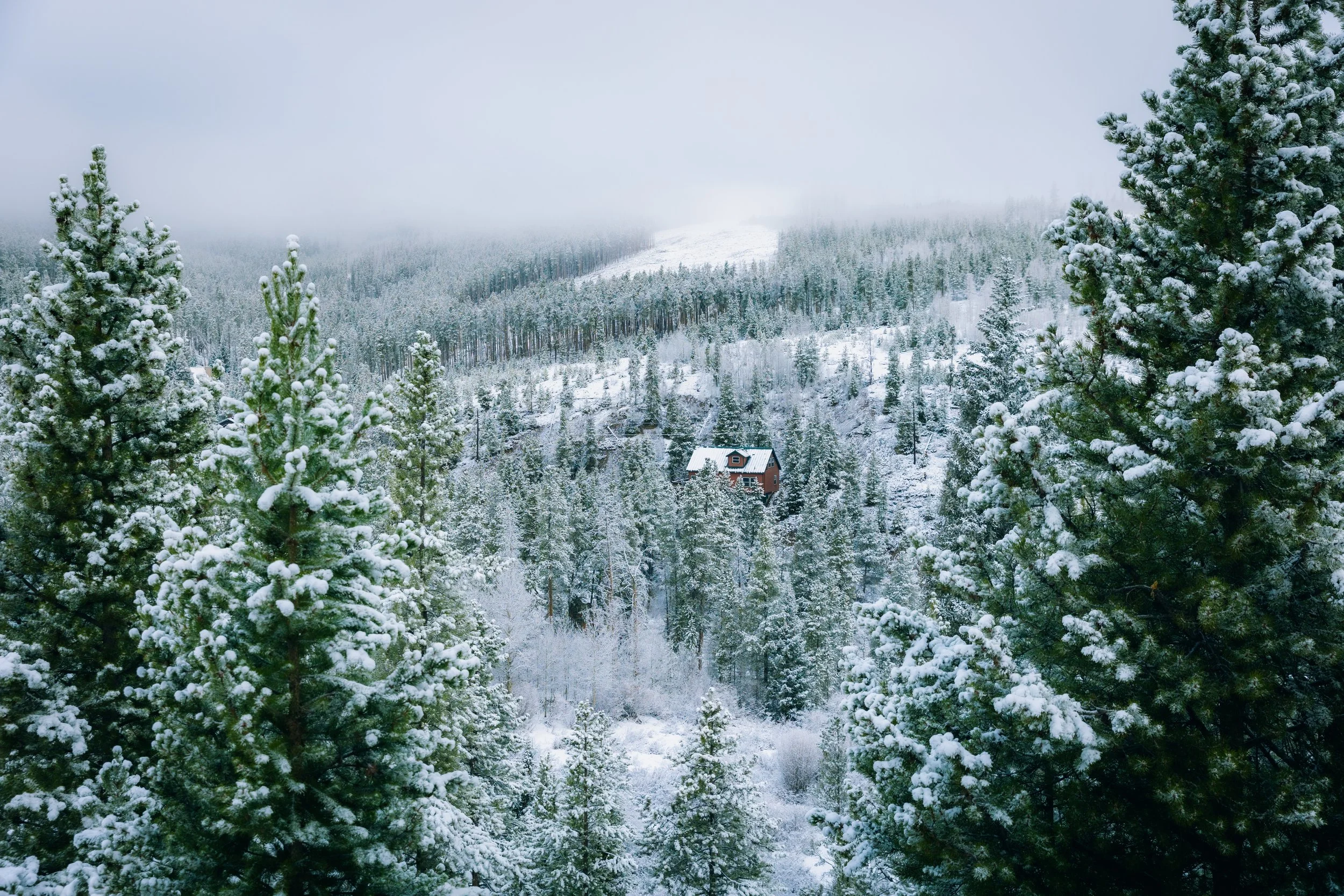 BTS: CHRISTMAS AT THE CABIN