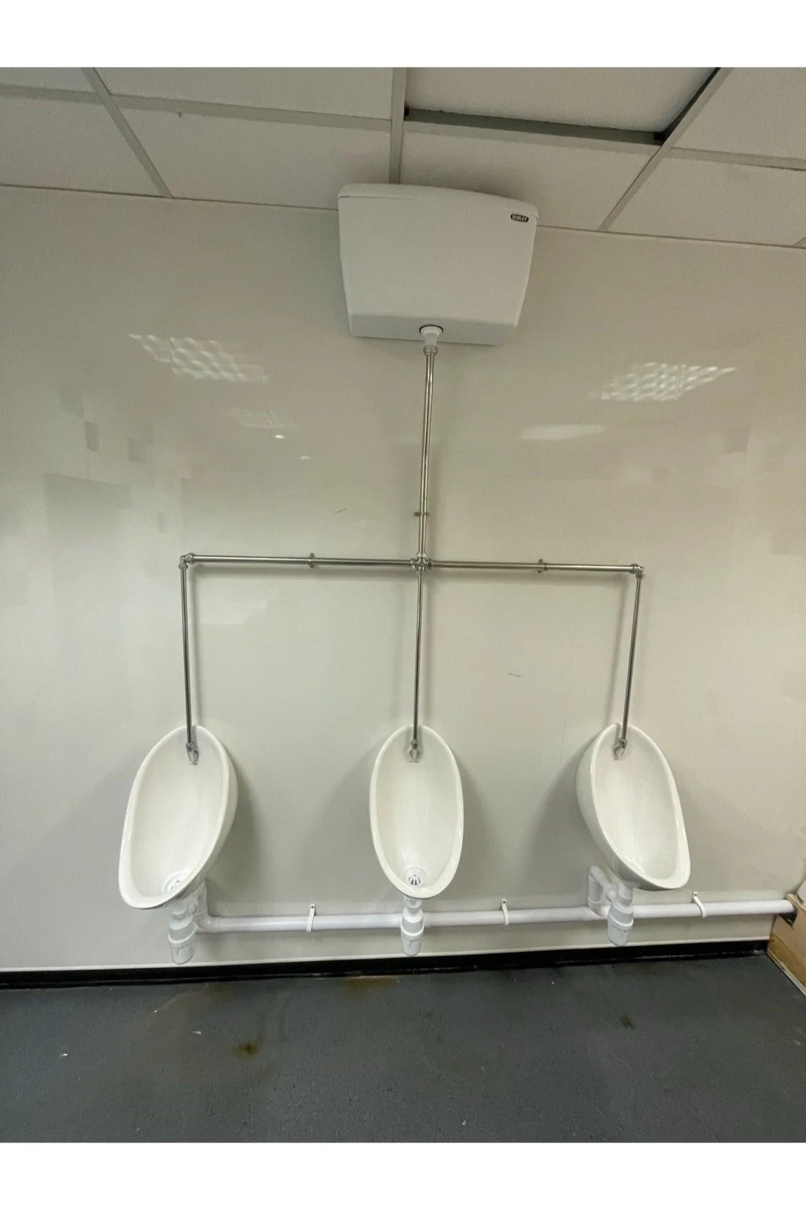 image7.jpg