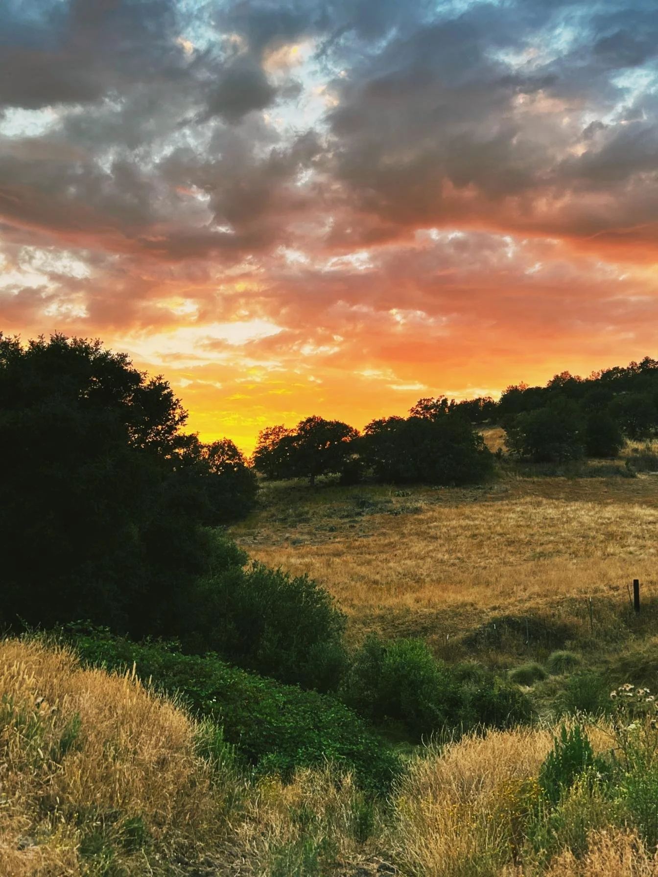 Sunset over a hilly landscape with trees and dry grass, dramatic clouds in the sky.