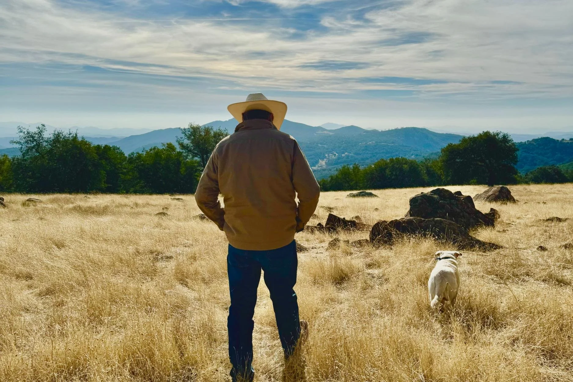 A man wearing a cowboy hat and jacket walking through a grassy field with a dog, with mountains and trees in the distance under a partly cloudy sky.