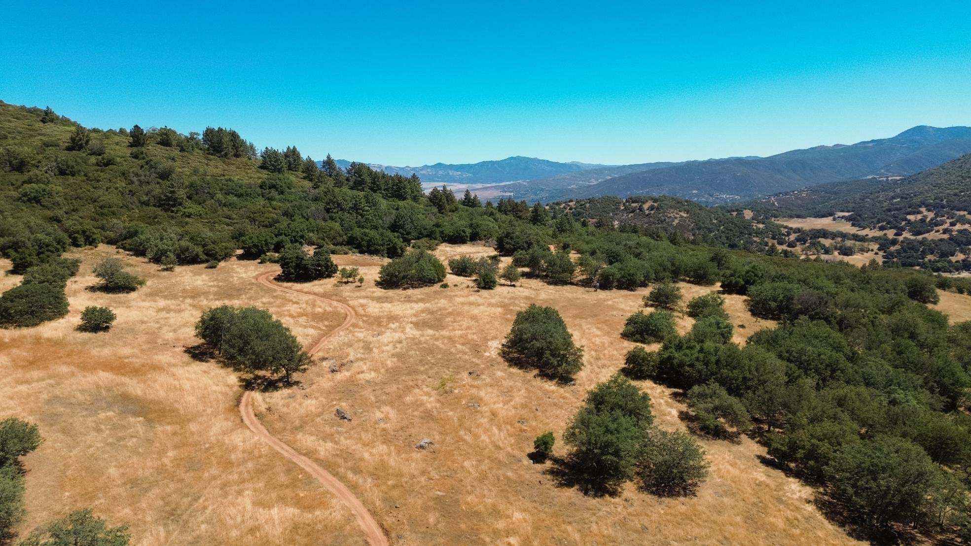 A dirt trail winding through a dry grassy field with scattered trees, surrounded by green, forested hills and distant mountains under a clear blue sky.