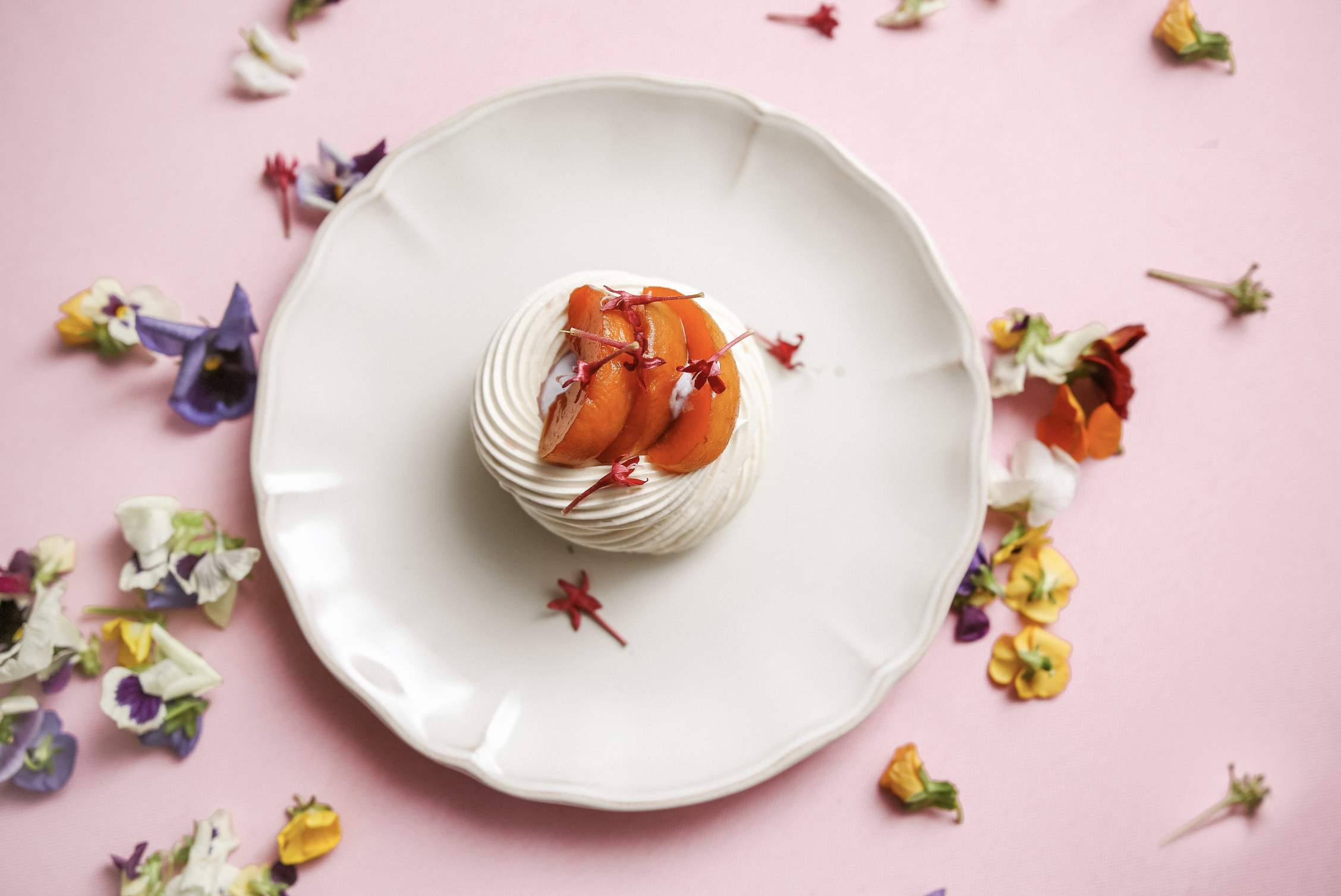 Captura de Tela 2023-07-12 às 16.16.31.png