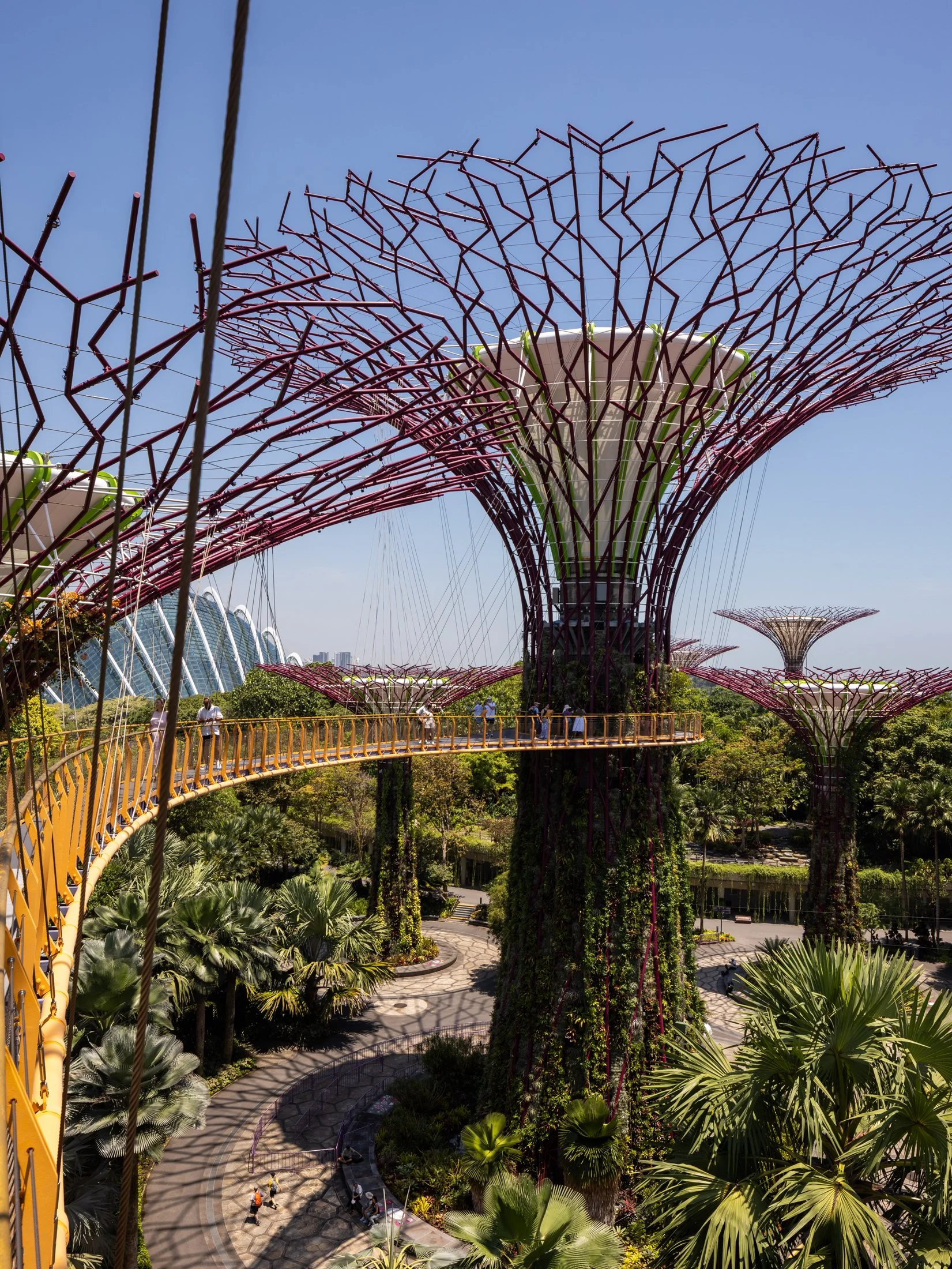 Gardens by the Bay-9.jpg