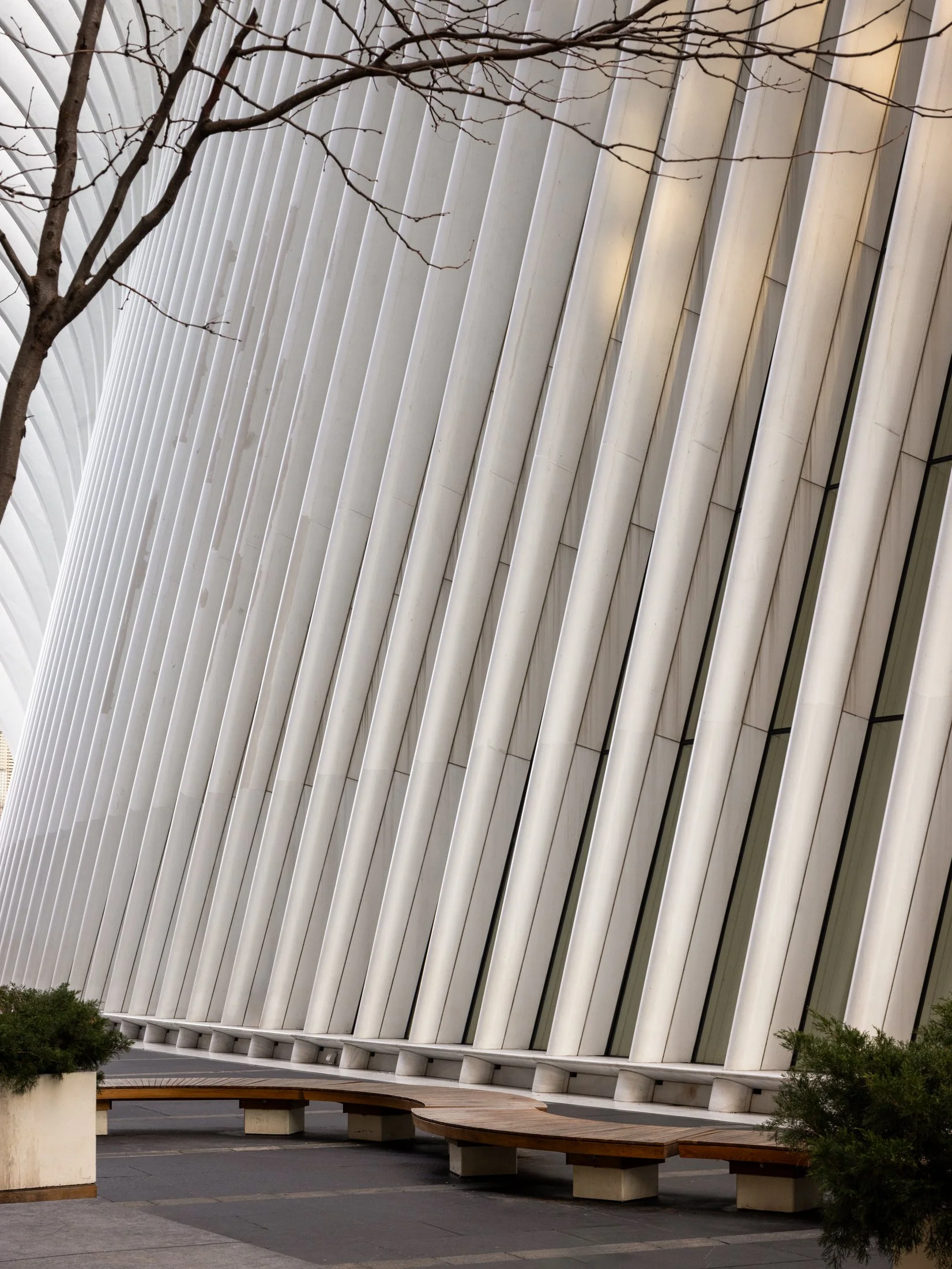 The Oculus_final-11.jpg
