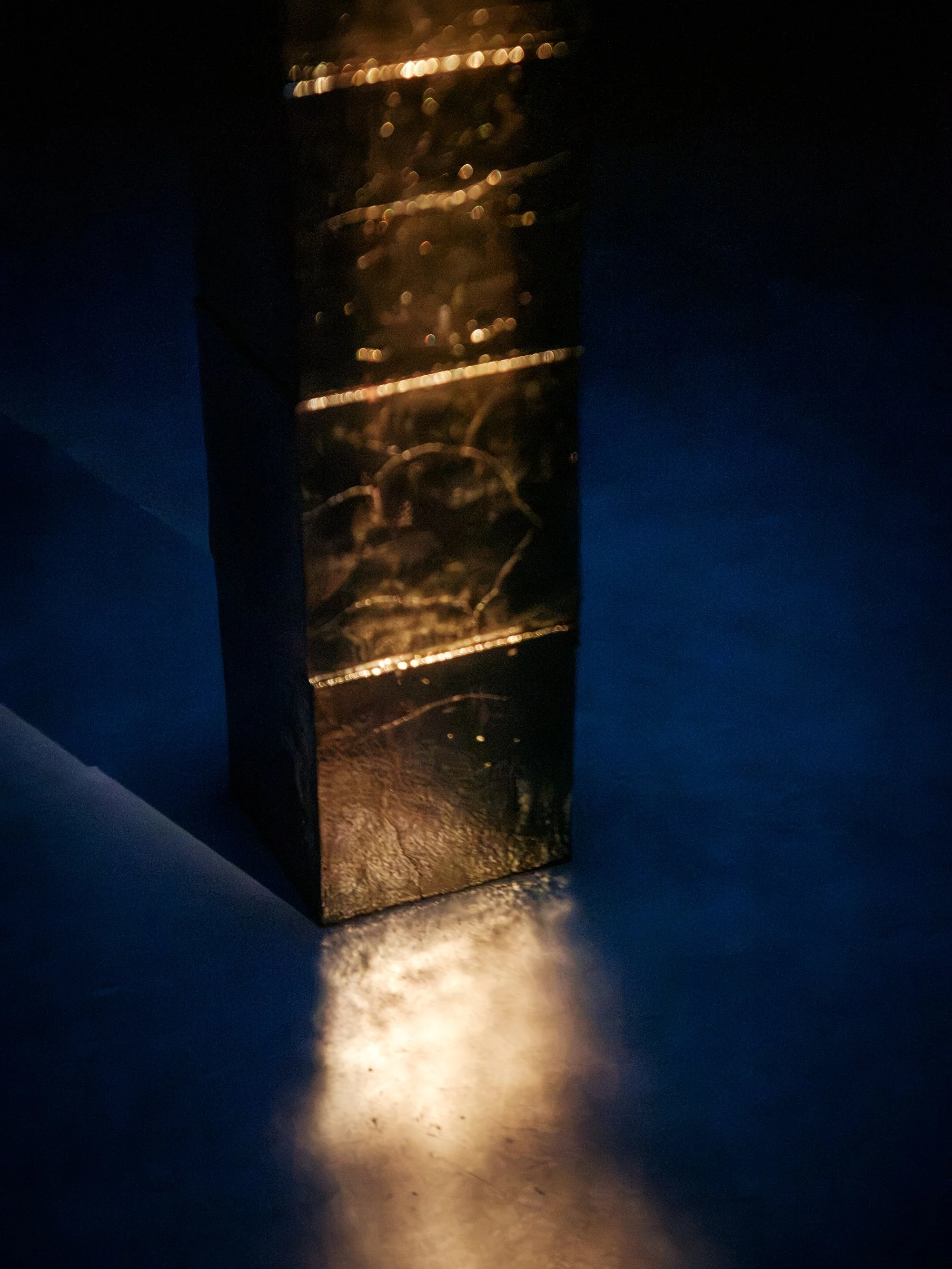 MFE_9217.jpg